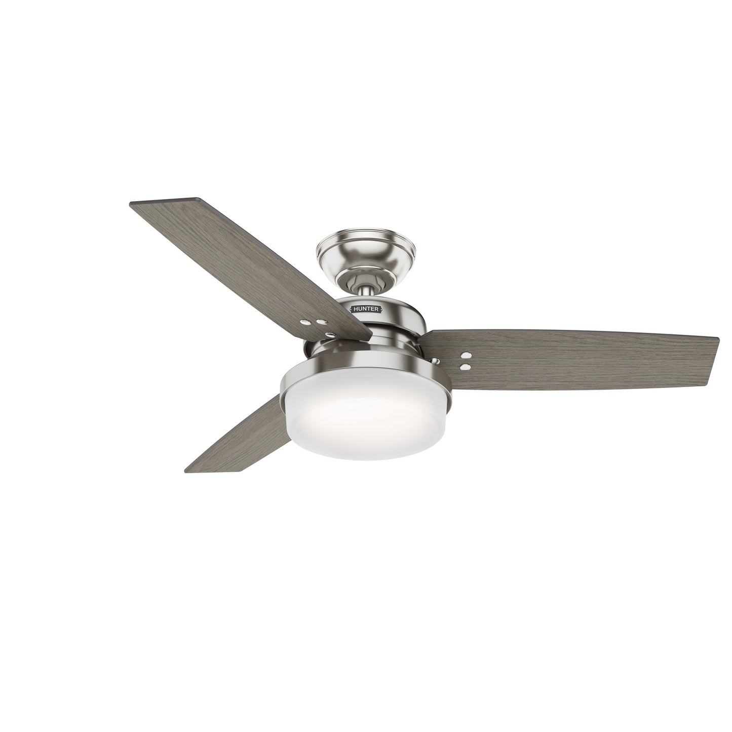 Sentinel with LED Light 44 inch