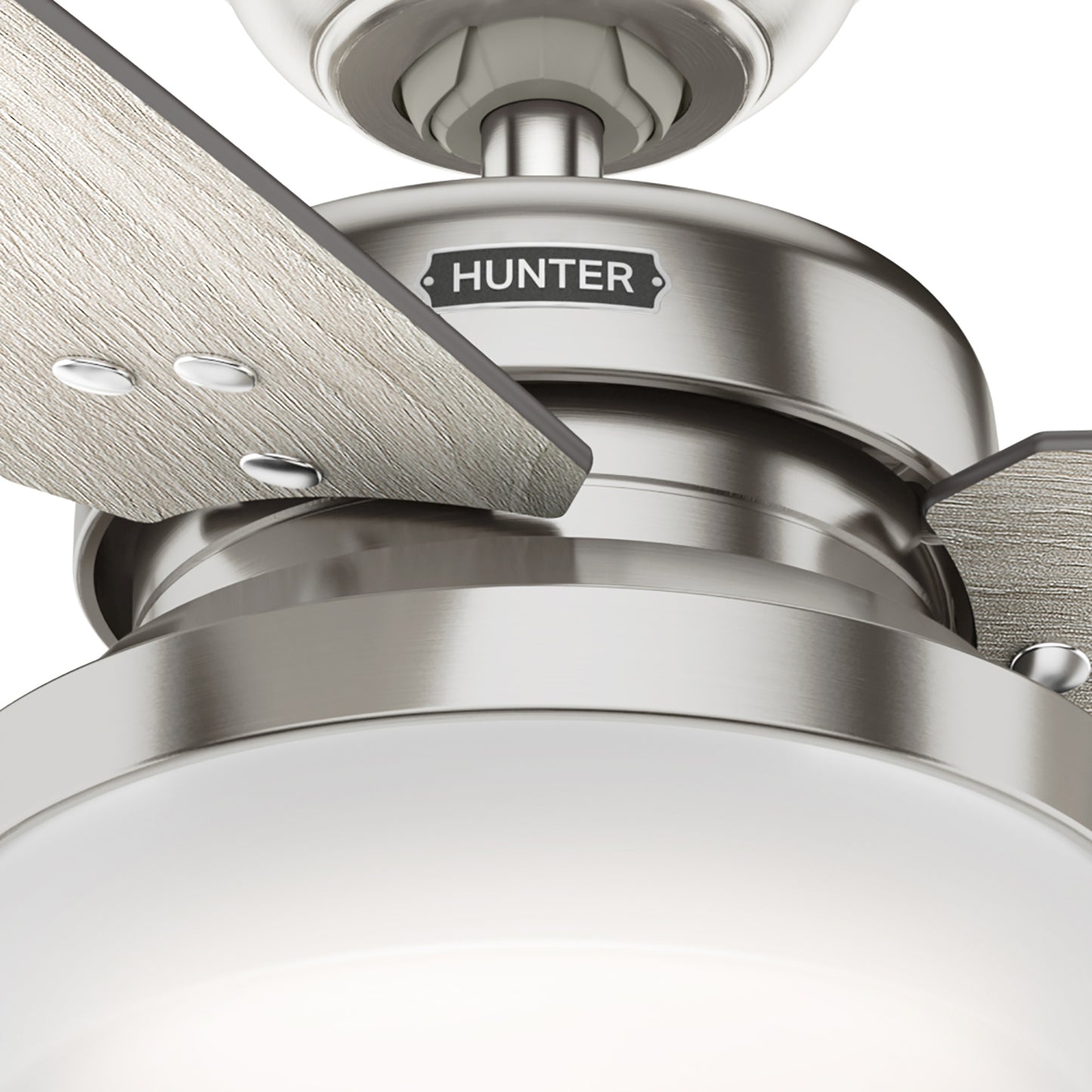 Sentinel with LED Light 44 inch