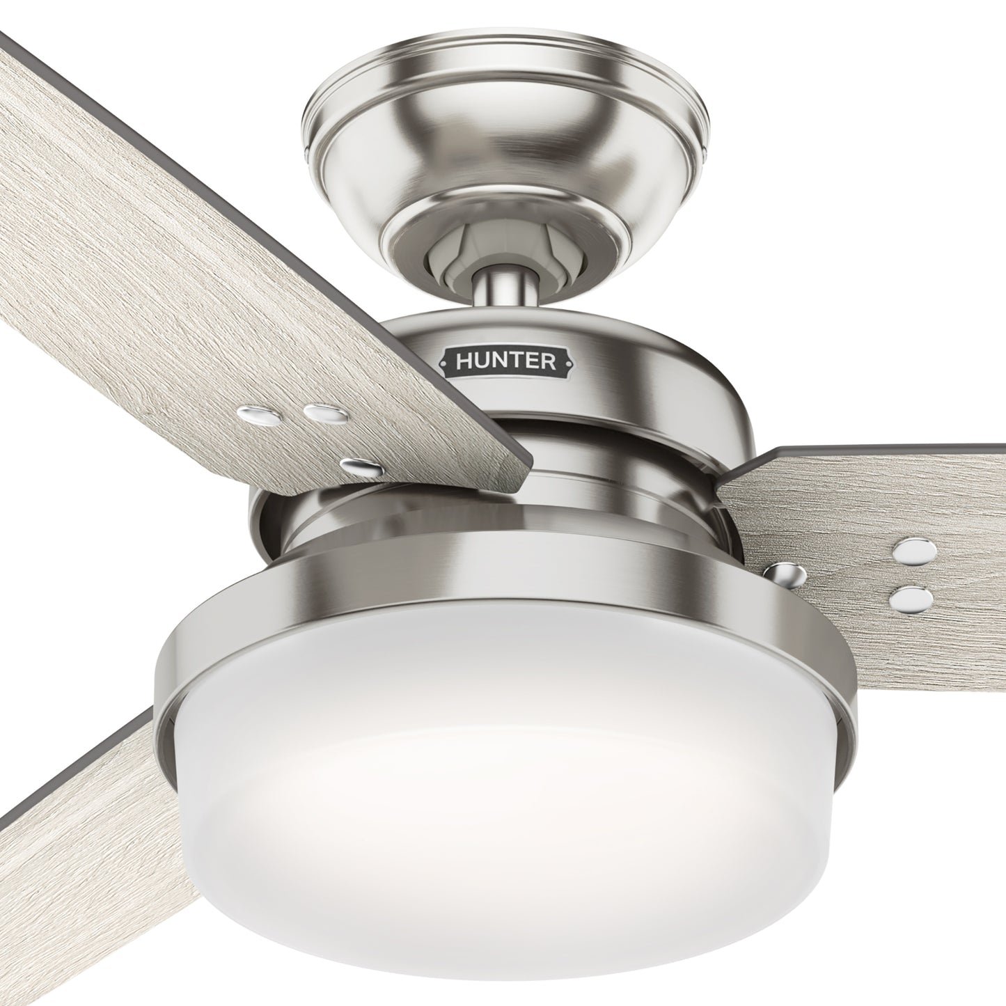 Sentinel with LED Light 44 inch