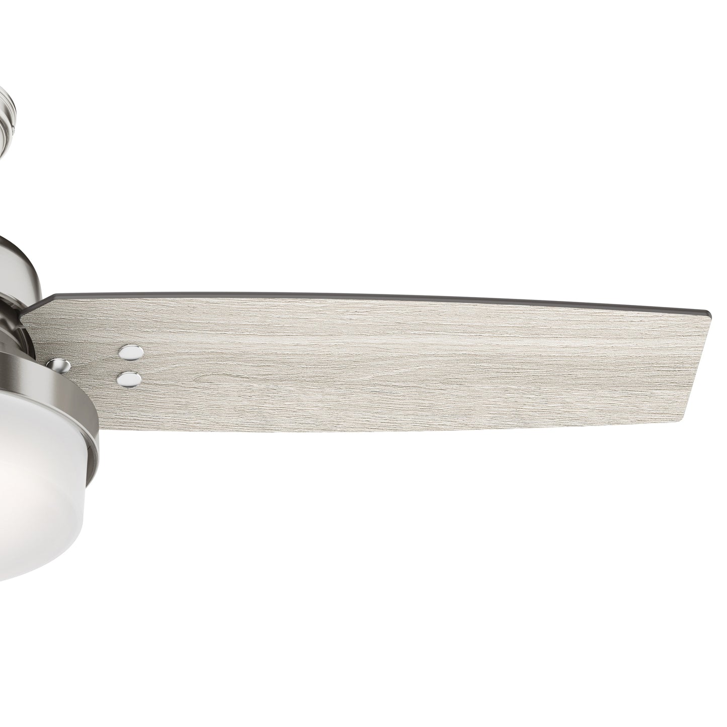 Sentinel with LED Light 44 inch