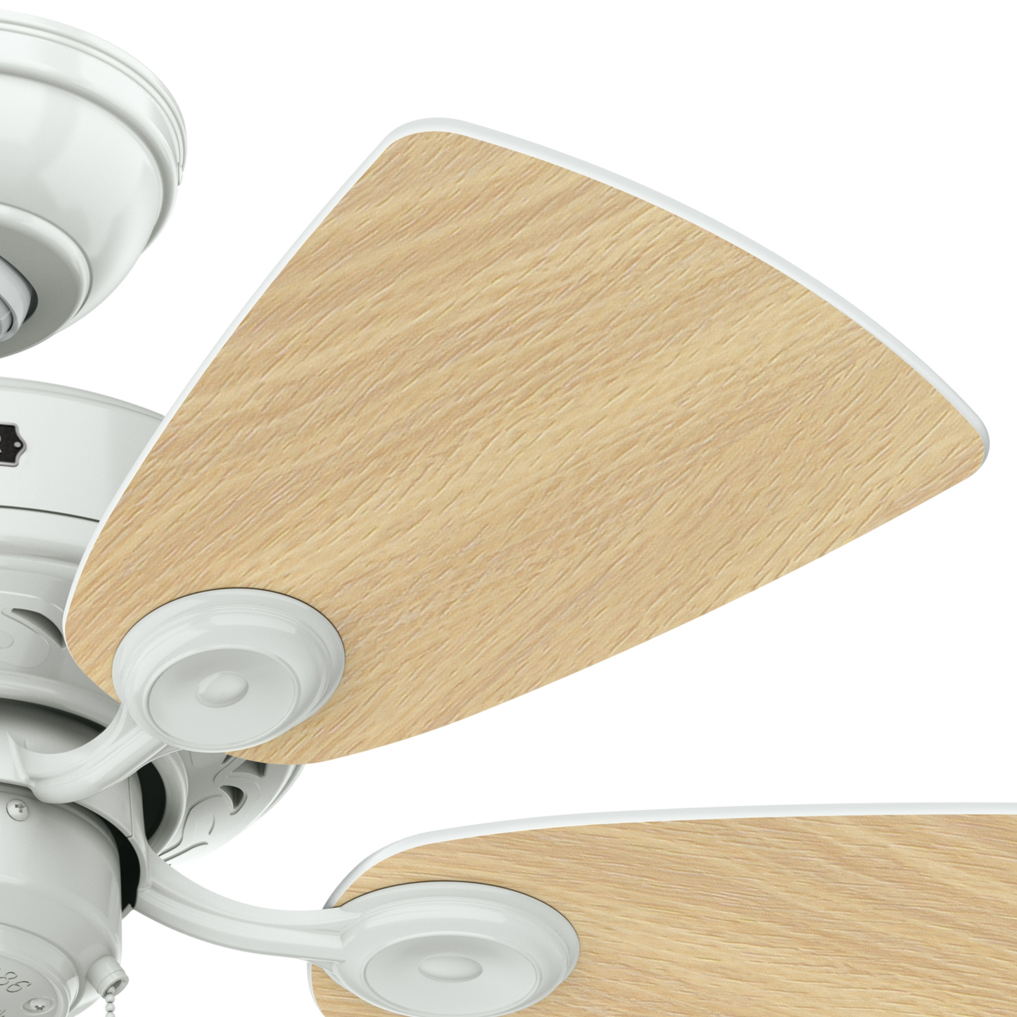 Watson with Light 34 inch (Refurbished)