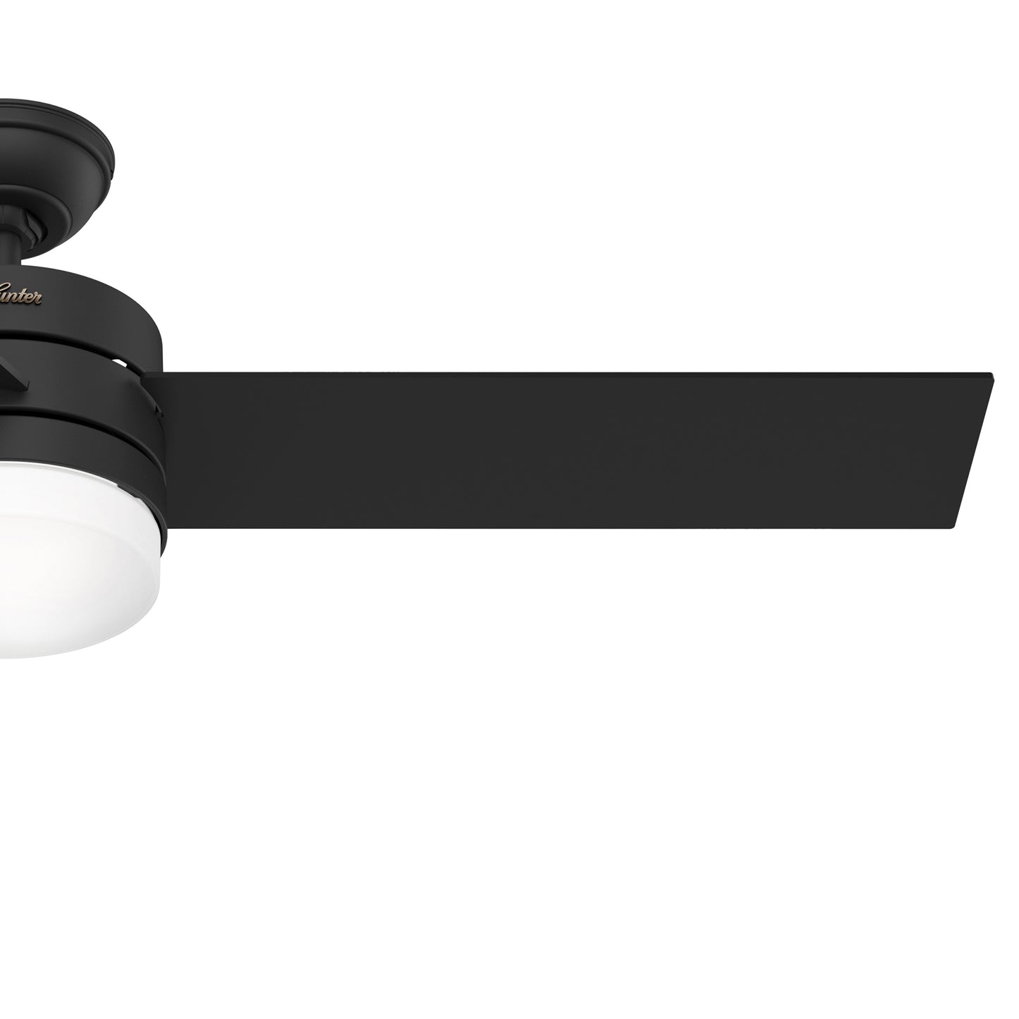 Exeter with Light 54 inch