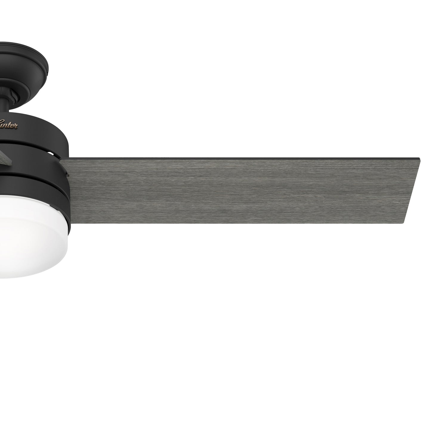Exeter with Light 54 inch