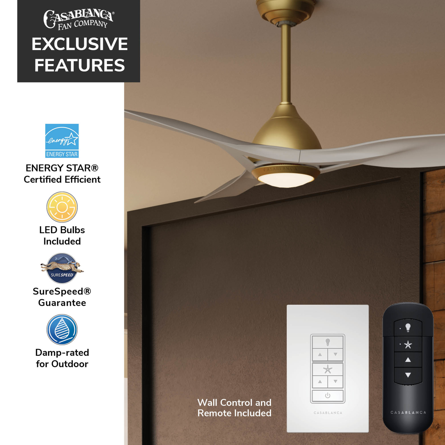 Elise Outdoor ENERGY STAR DC with LED Light 54 inch with remote and wall control