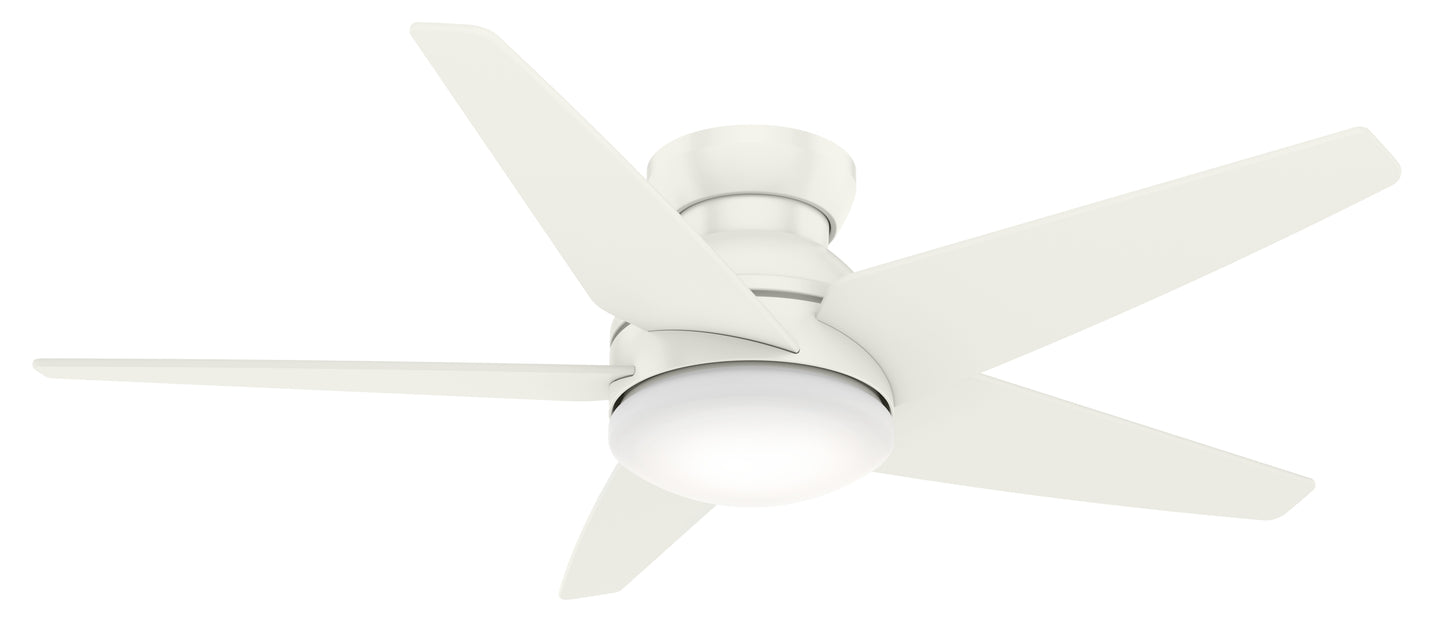 Isotope with LED Light 52 inch