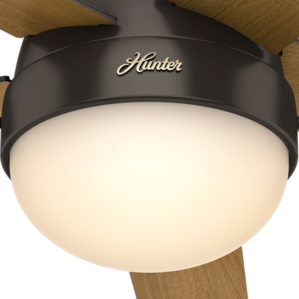 Anslee Low Profile with LED Light 46 inch