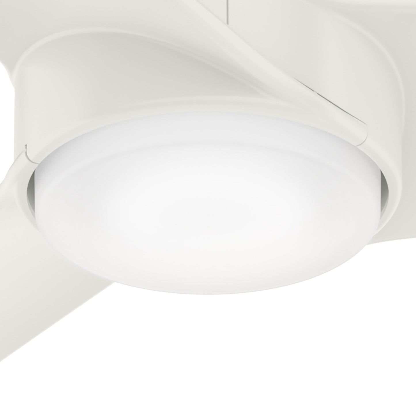 Havoc Outdoor with LED Light 54 inch