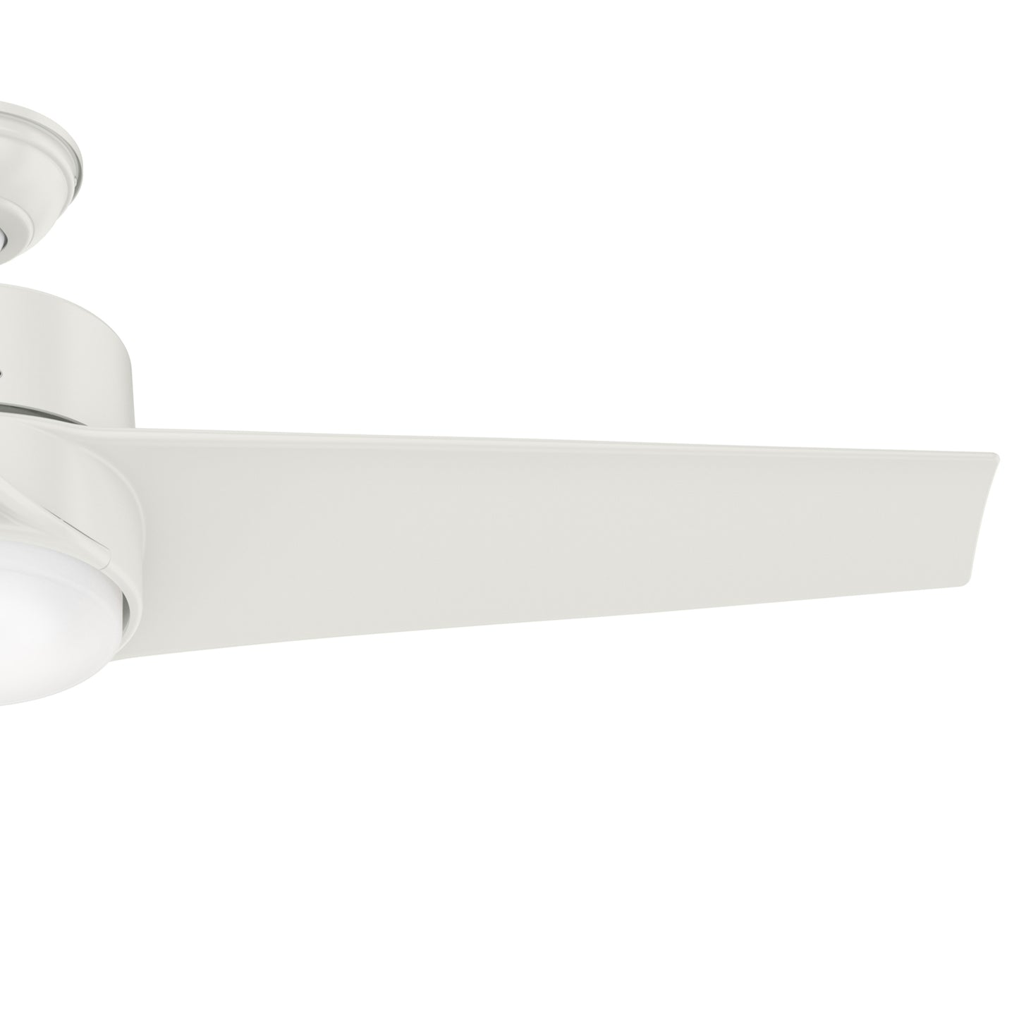 Havoc Outdoor with LED Light 54 inch
