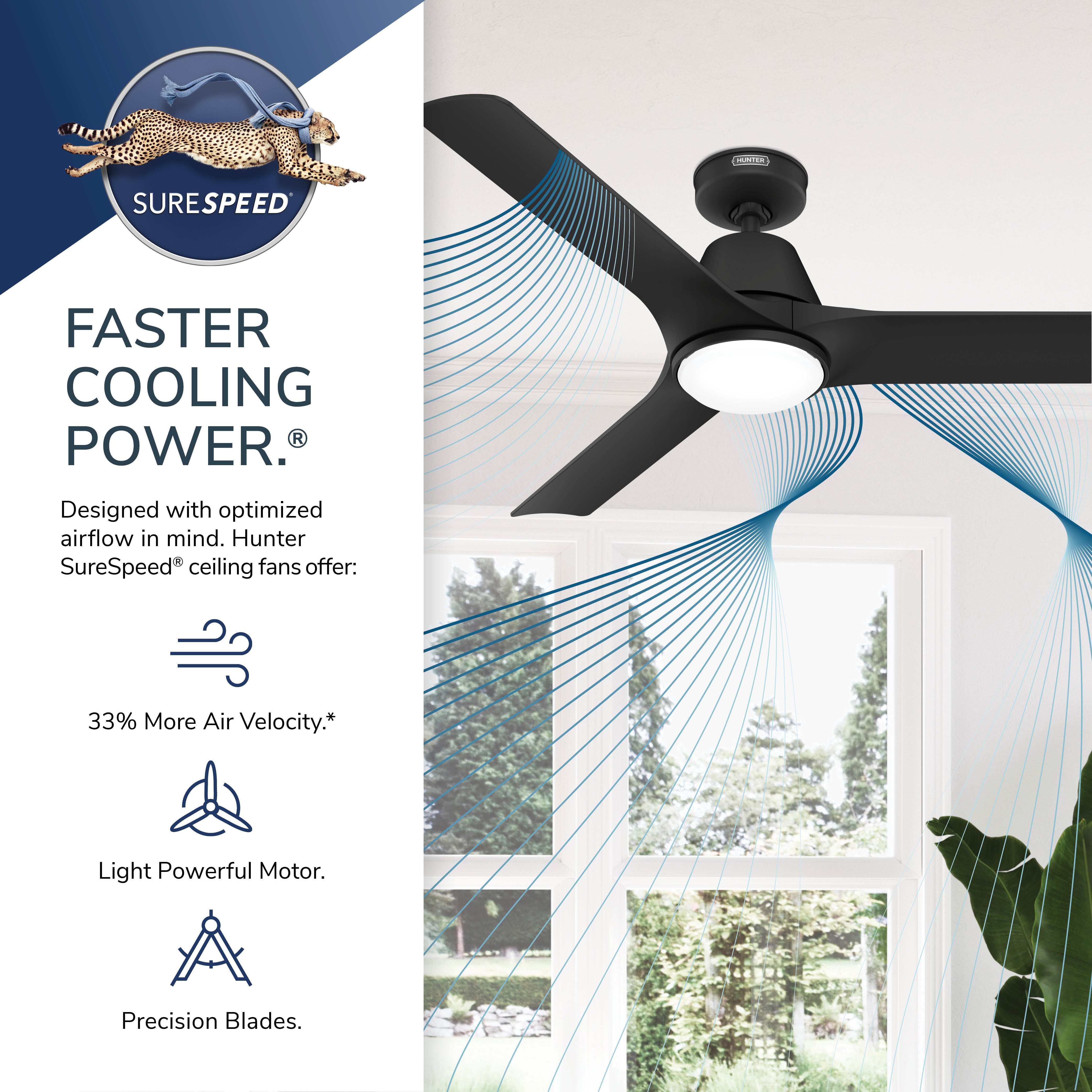 Aeronaut Outdoor Smart Fan with LED Light 52 inch with Remote