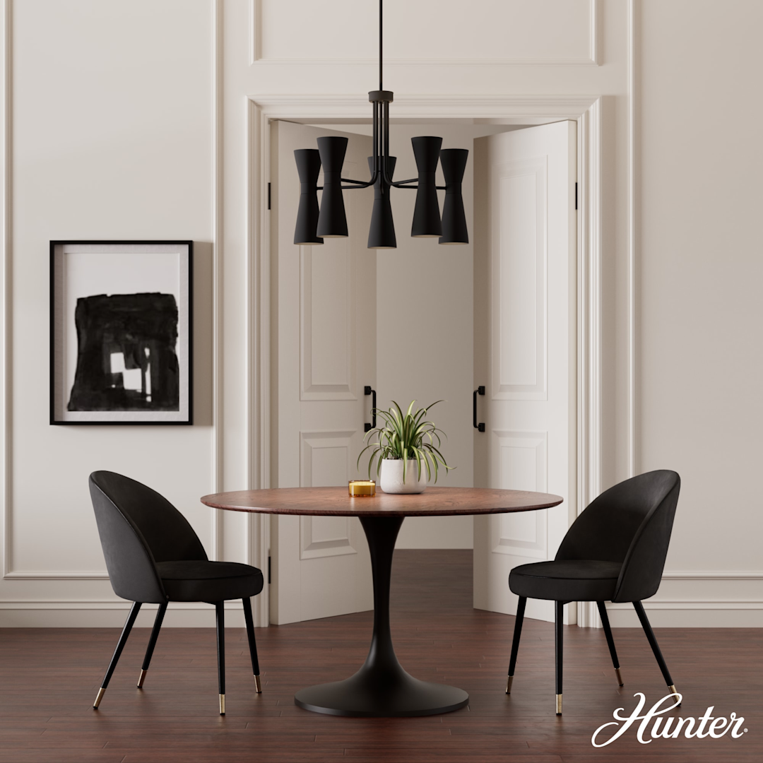 Hunter Zola Up and Down 10 Light 26 Inch Chandelier