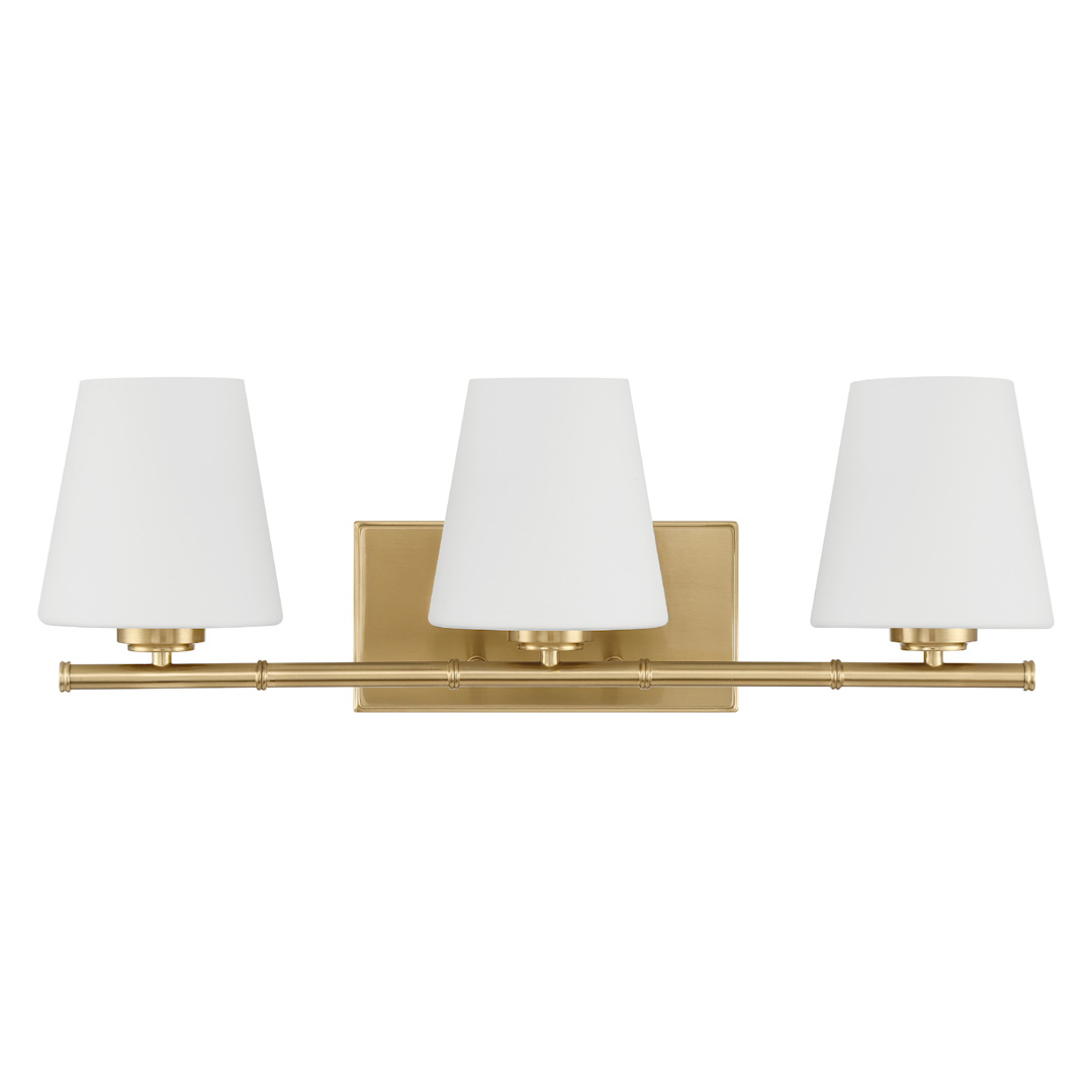 Hunter Fauna Grove 3 Light Medium 25 Inch Vanity
