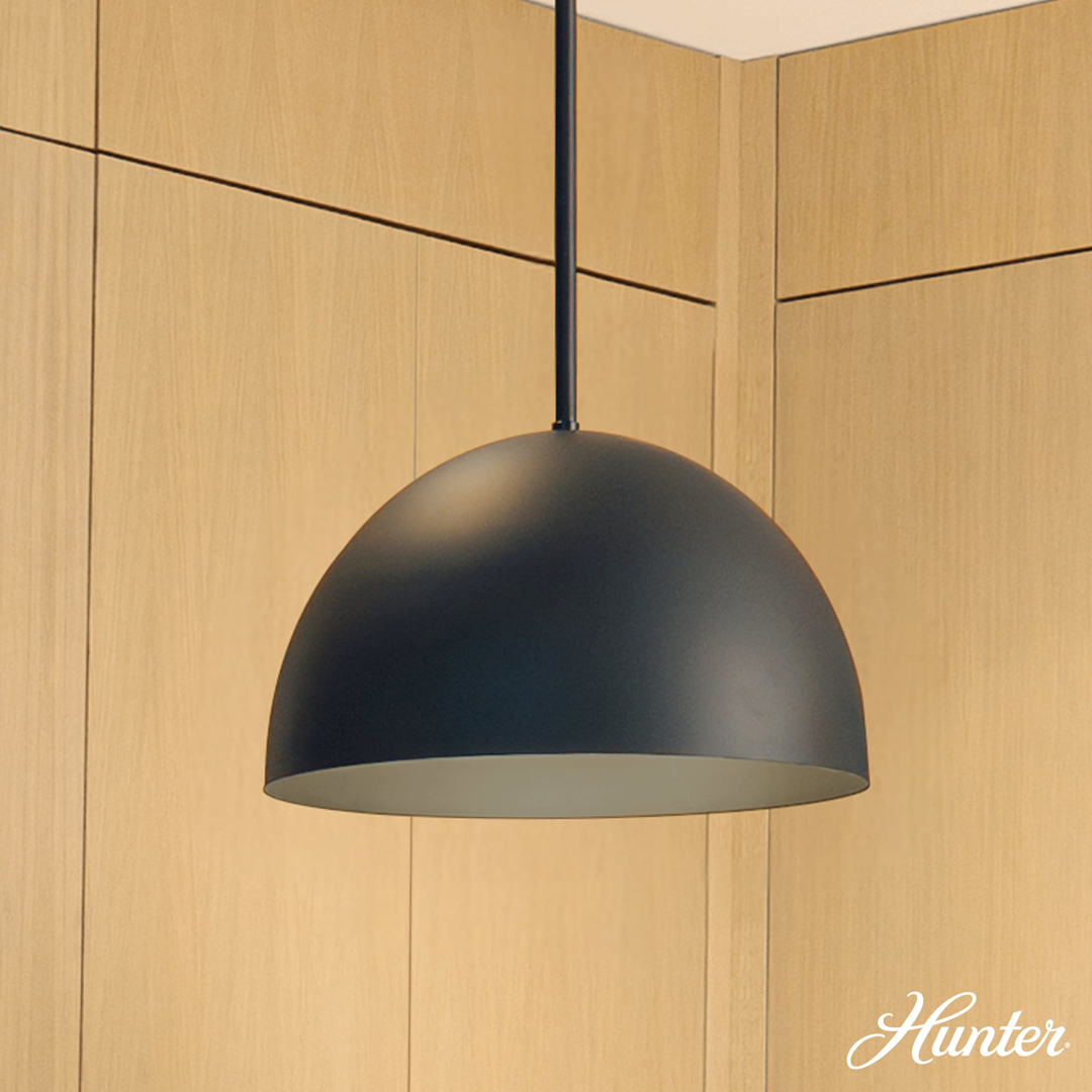 Hunter Erling 1 Light Medium 14 Inch Pendant