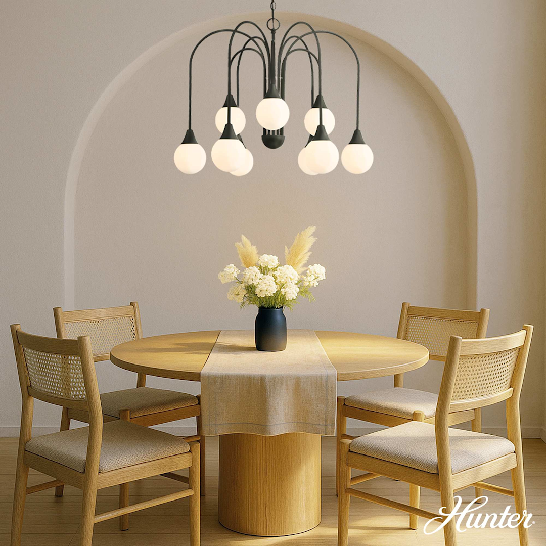 Hunter Valadon 9 Light Large 30 Inch Chandelier