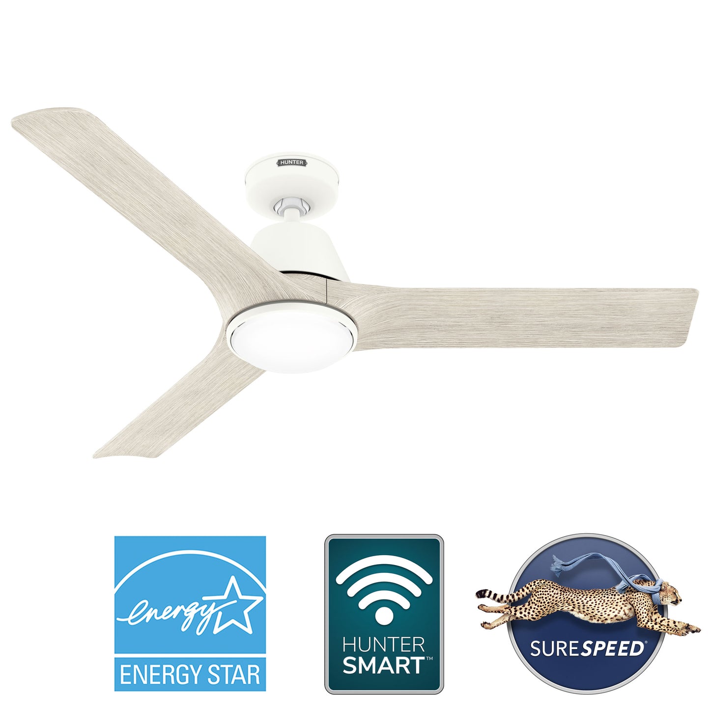 Aeronaut Outdoor Smart Fan with LED Light 52 inch with Remote DC Motor