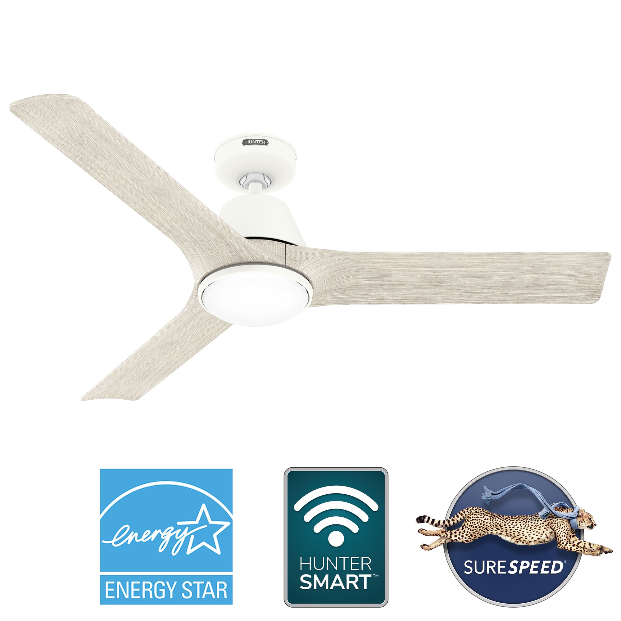 Aeronaut Outdoor Smart Fan with LED Light 52 inch with Remote DC Motor