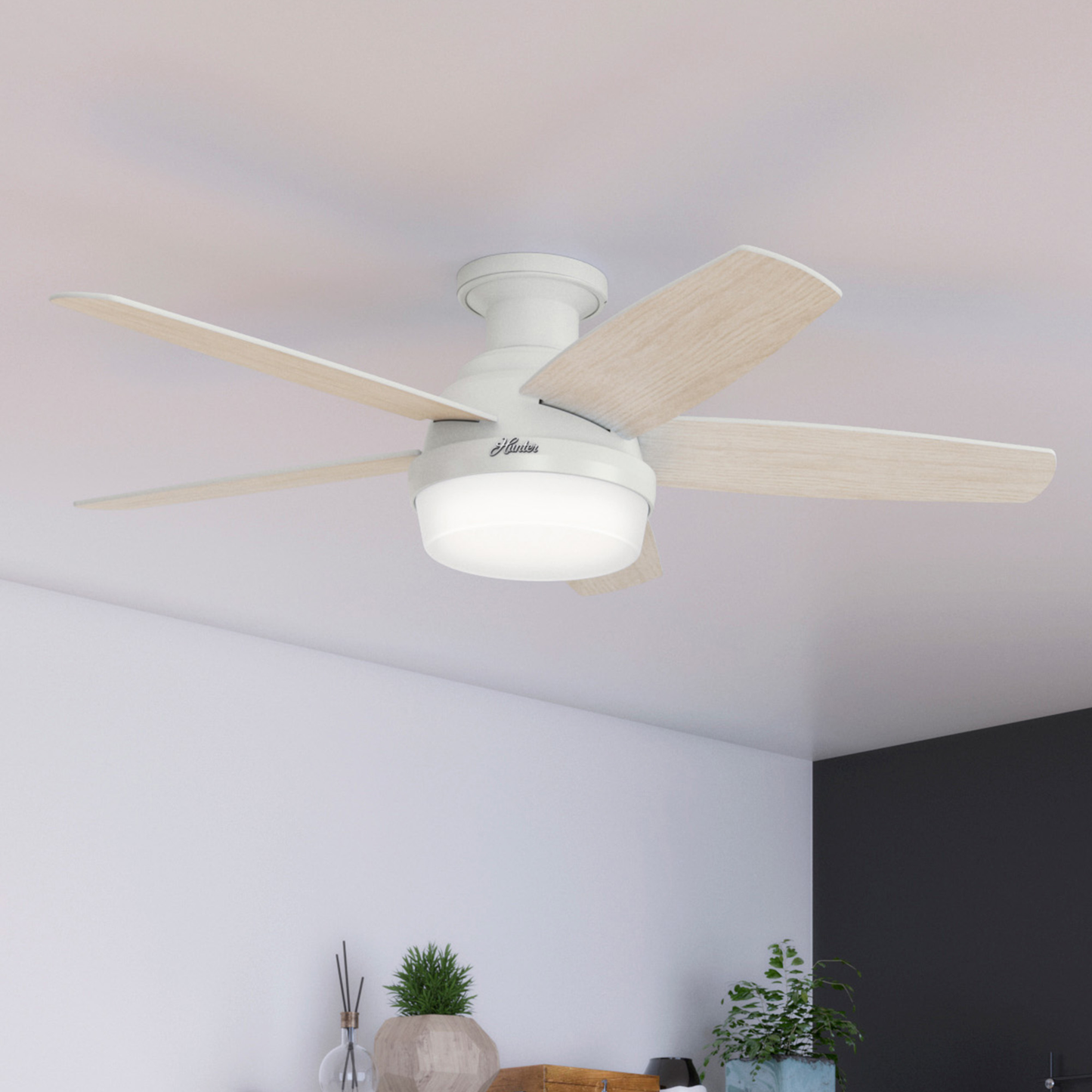 Avia Low Profile with LED light 48 inch (Refurbished)