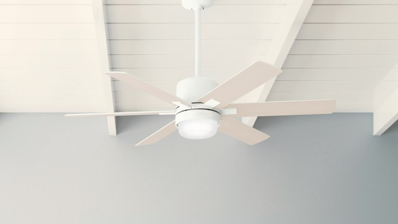 Radeon Smart Fan with LED Light 52 inch (Refurbished)