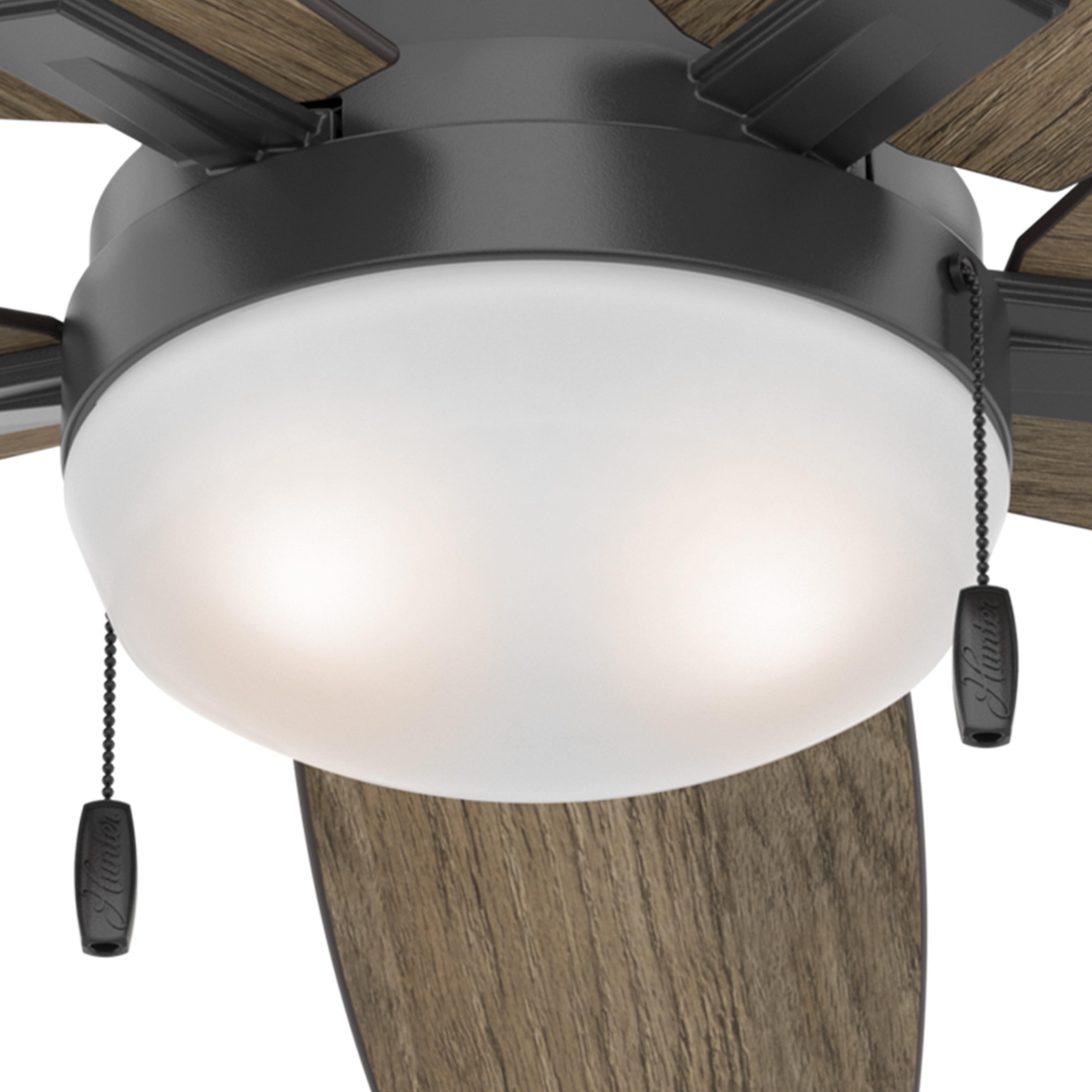 Antero CAN with LED Light 54 inch (Refurbished)