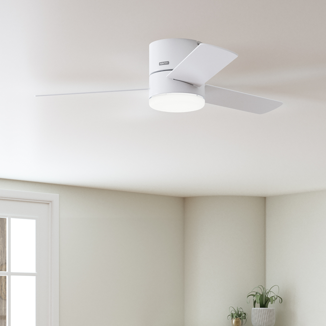 Minimus Low Profile with LED Light