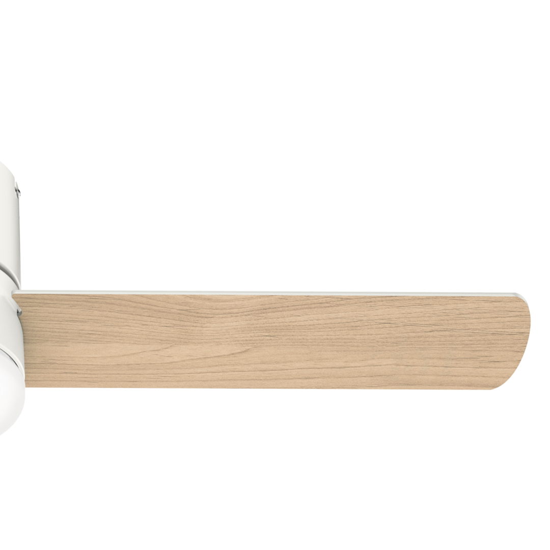 Minimus Low Profile with LED Light