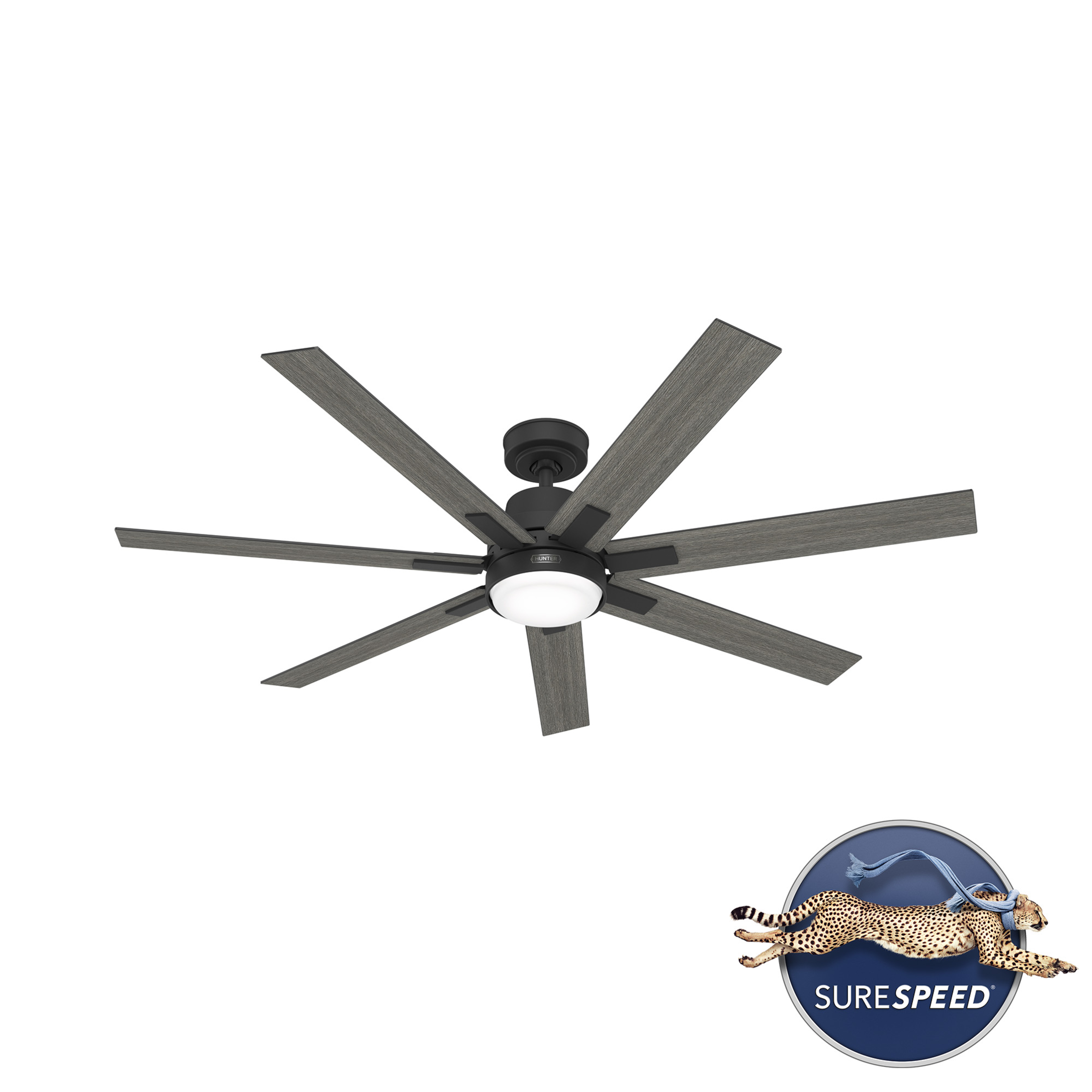 Loflin with LED Light 60 inch (Refurbished)