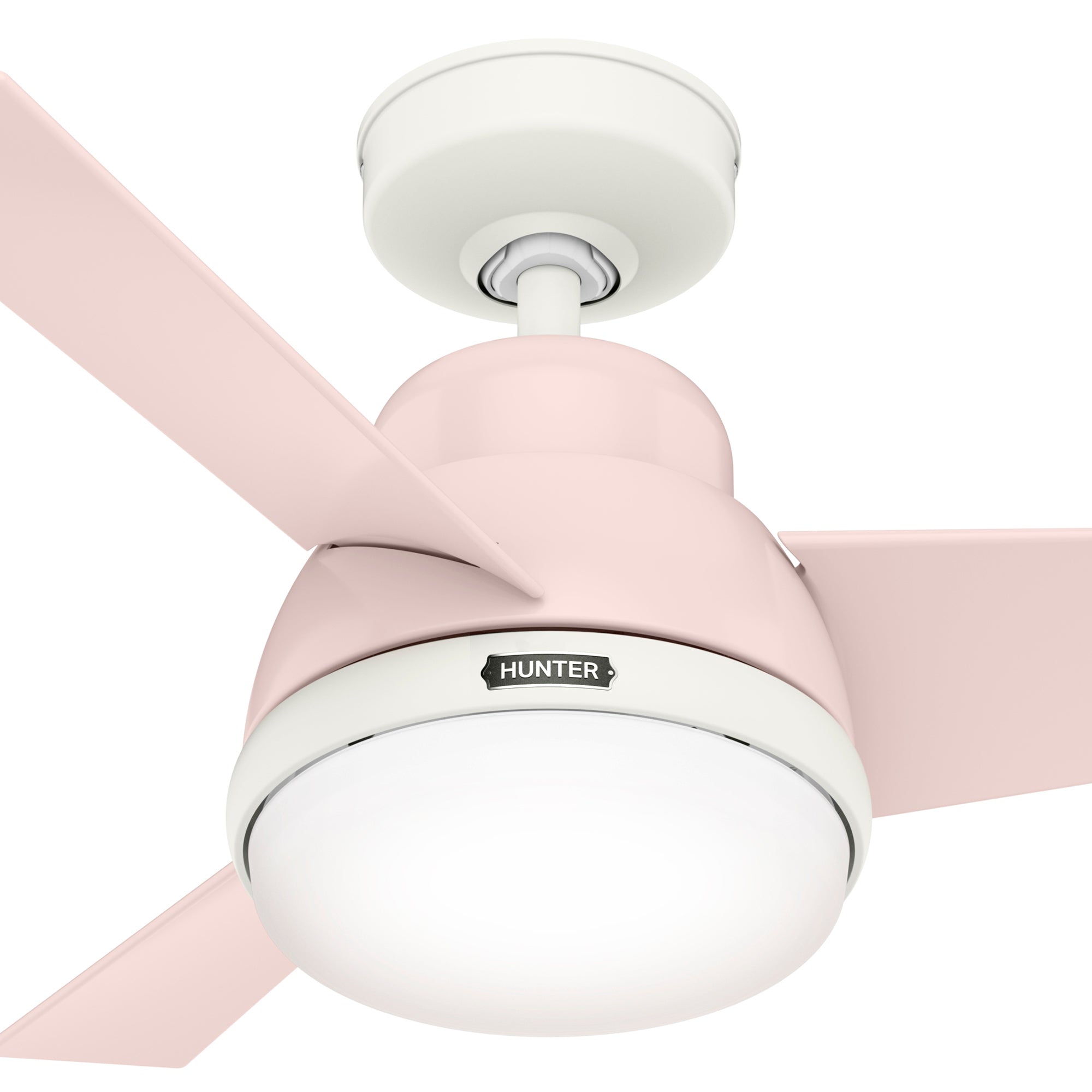 Valda with LED Light 36 inch