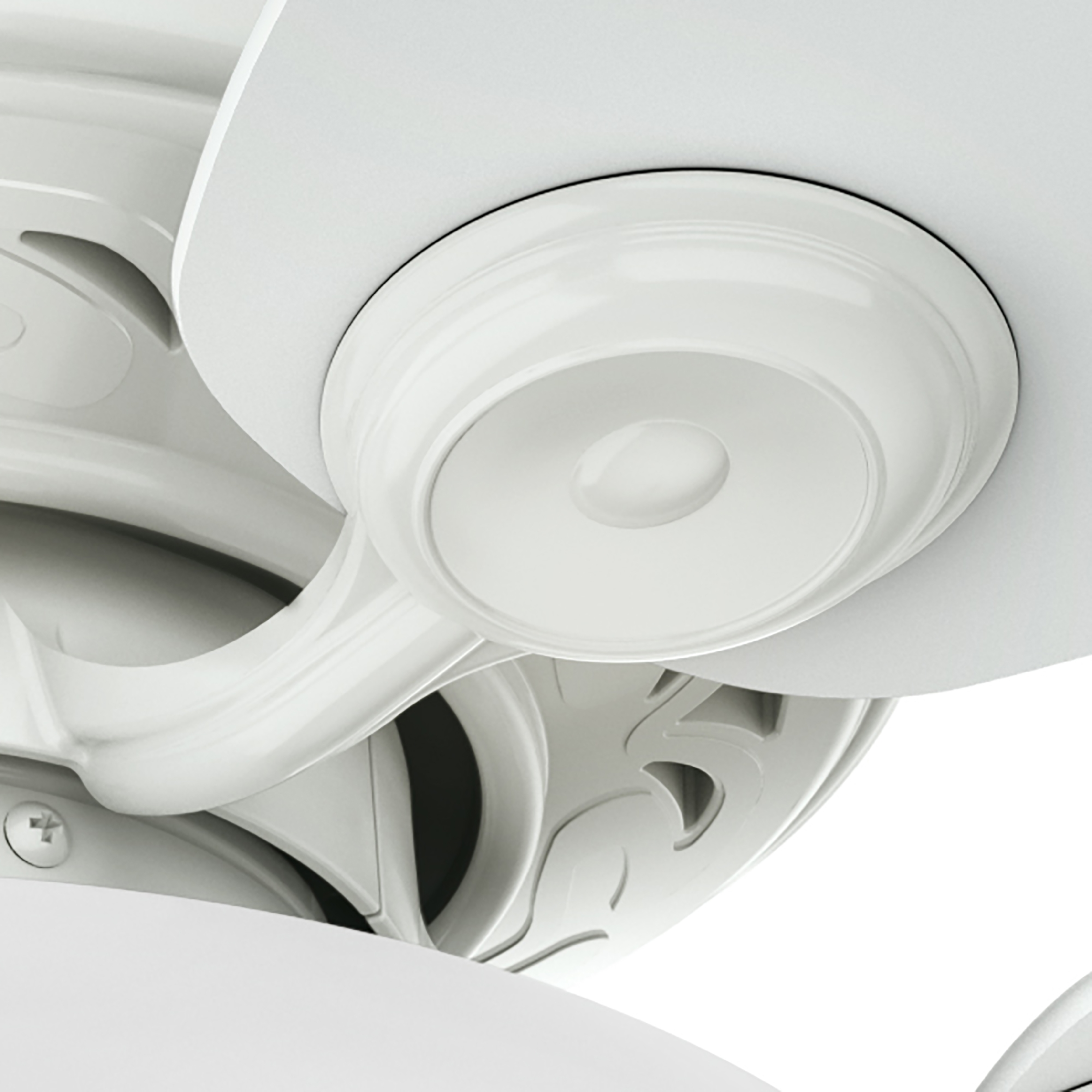 Watson with Light 34 inch (Refurbished)