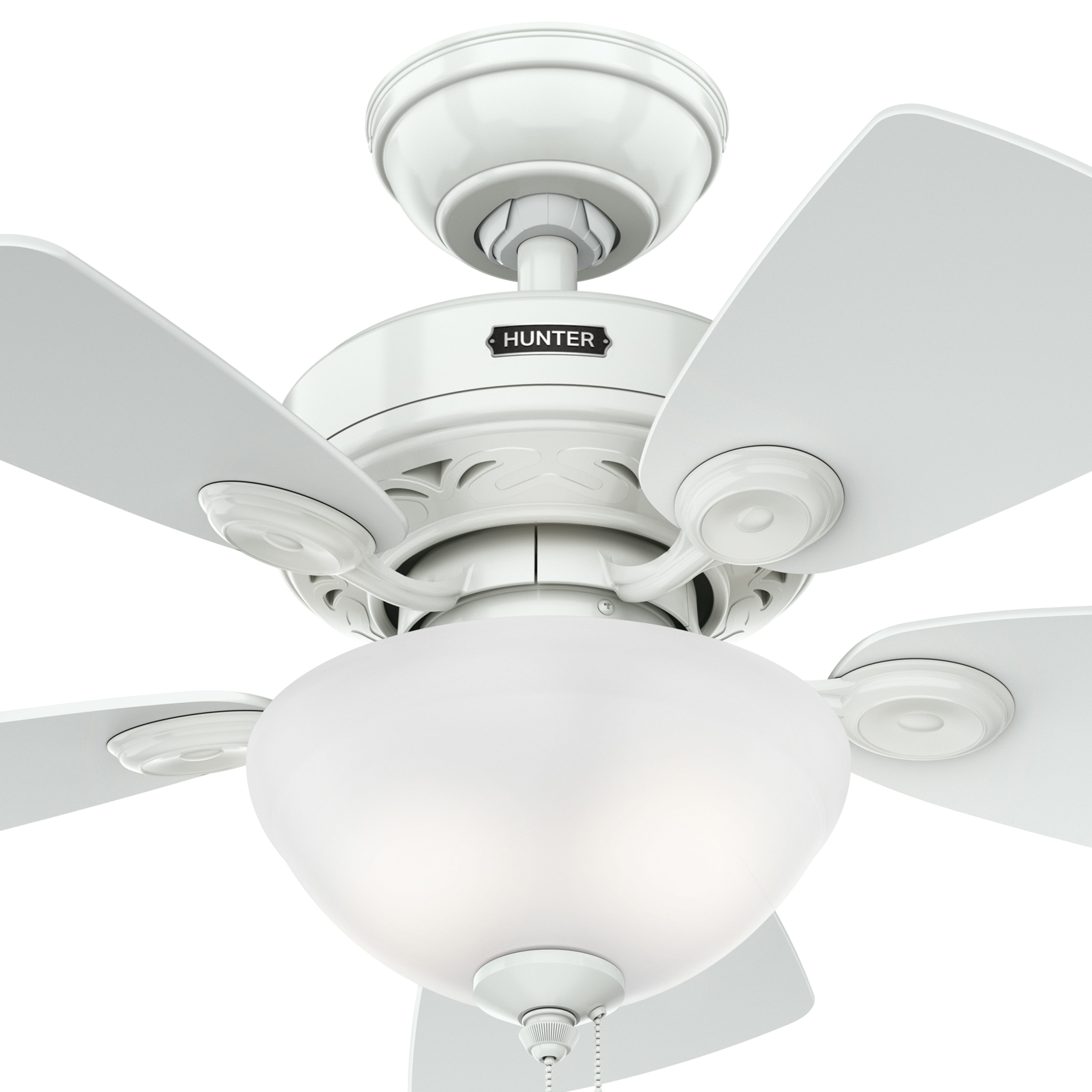 Watson with Light 34 inch (Refurbished)