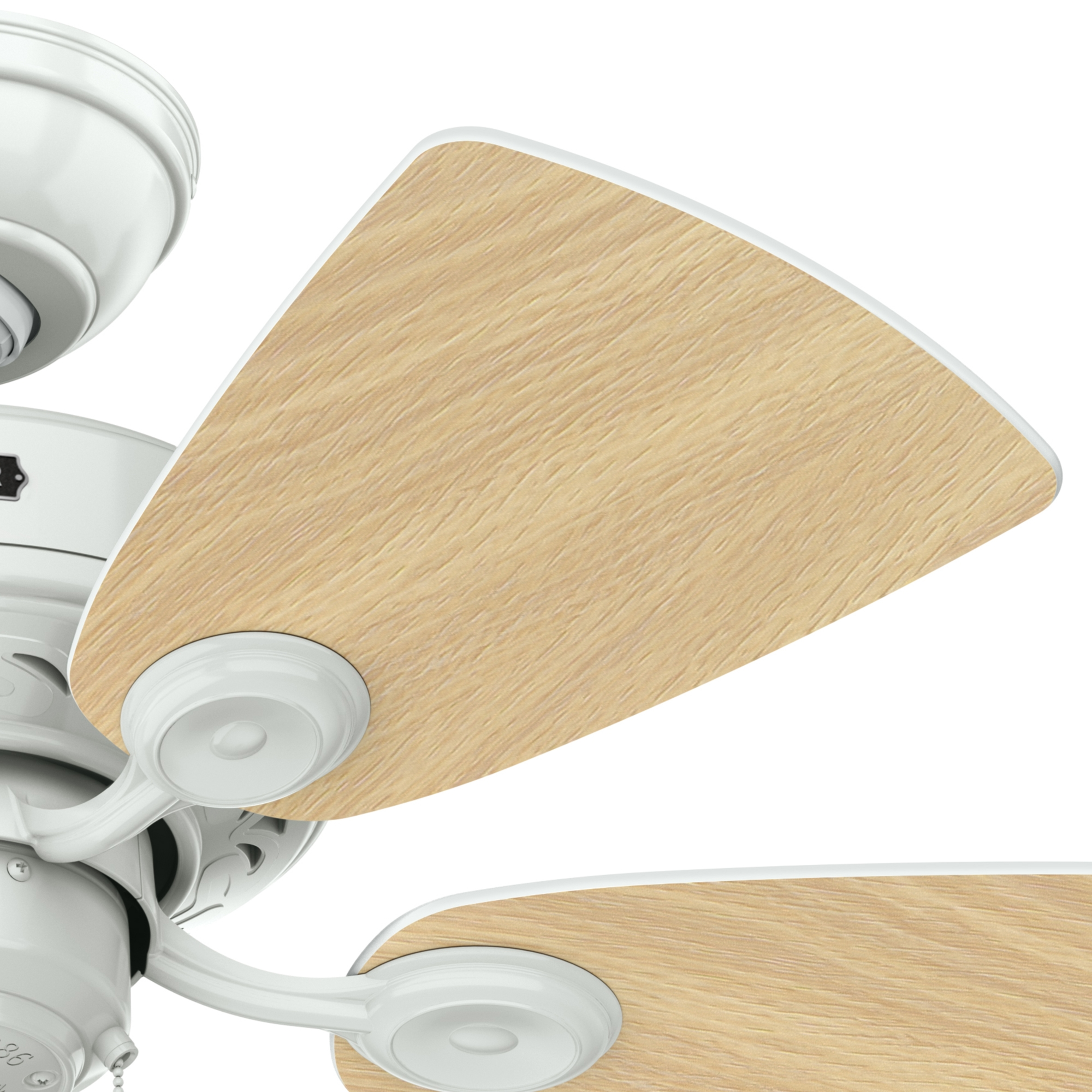 Watson with Light 34 inch (Refurbished)