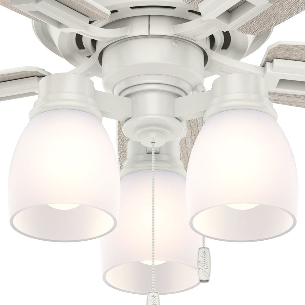 Donegan with LED Light 44 inch