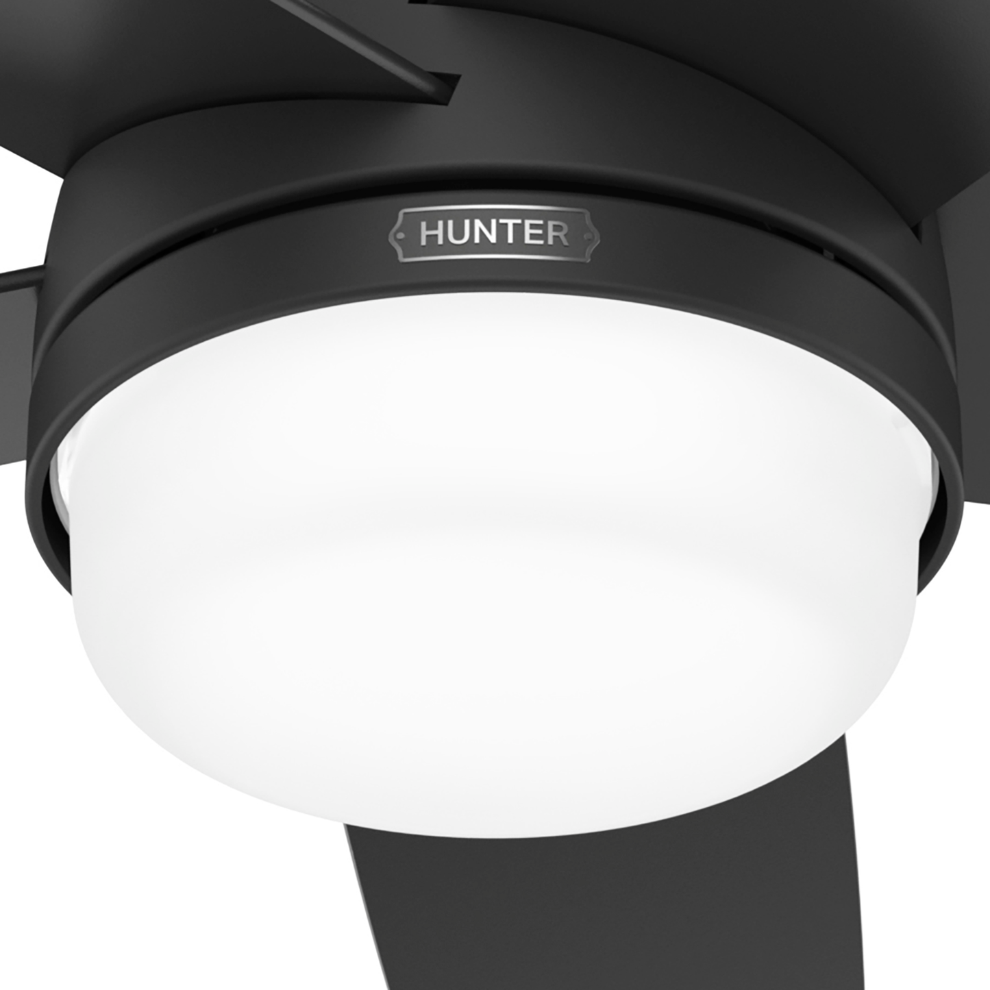 Asheville Outdoor with LED Light 52 inch (Refurbished)