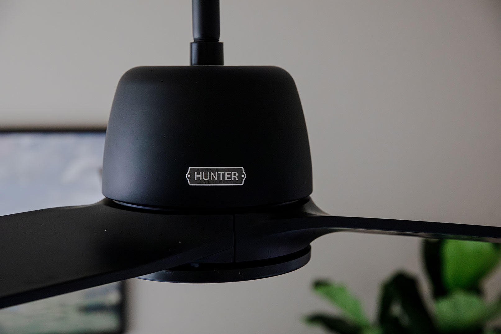 Hunter 52 inch Malden Matte White Ceiling Fan and Handheld Remote