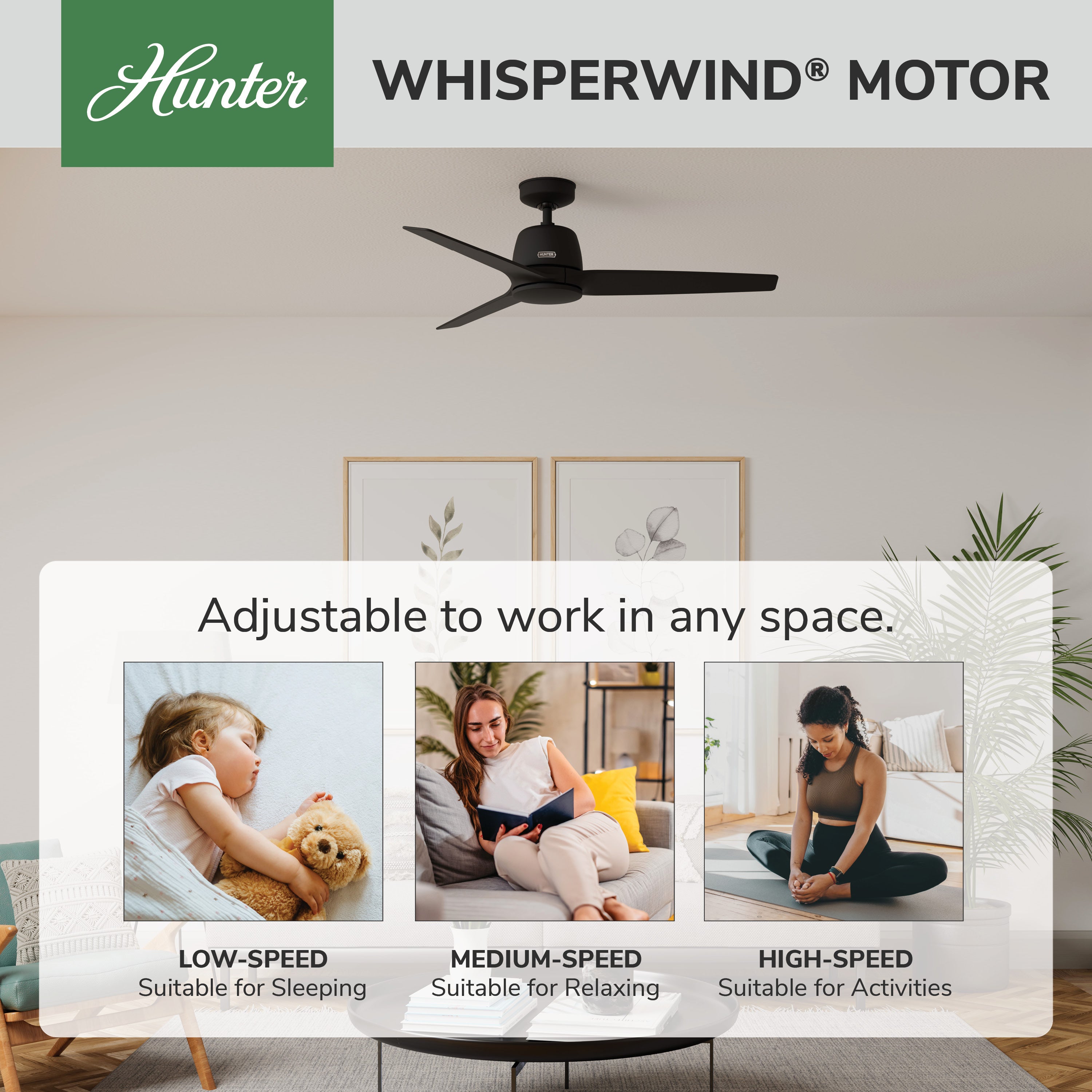 Hunter 52 inch Malden Matte White Ceiling Fan and Handheld Remote