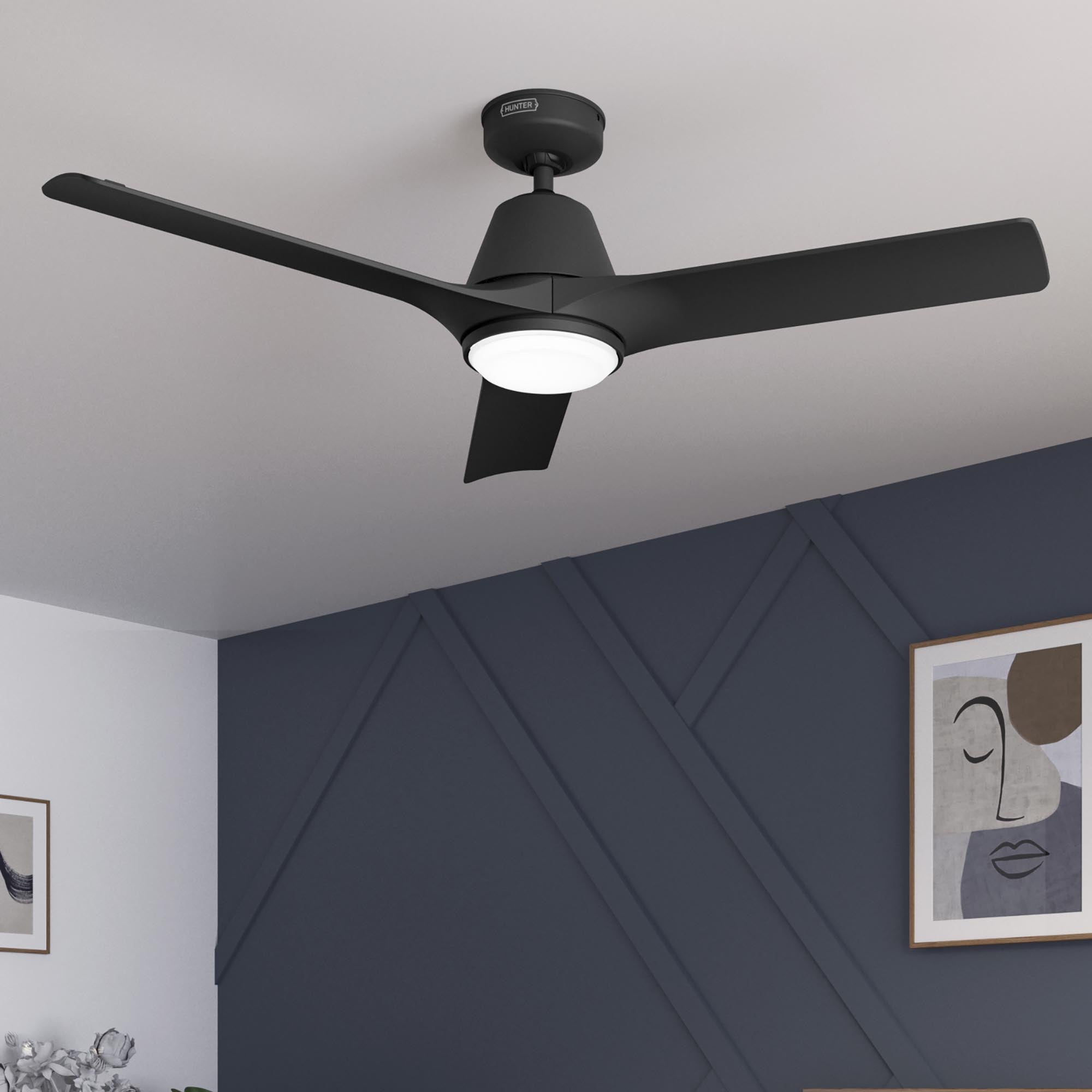 Aeronaut Outdoor Smart Fan with LED Light 52 inch with Remote