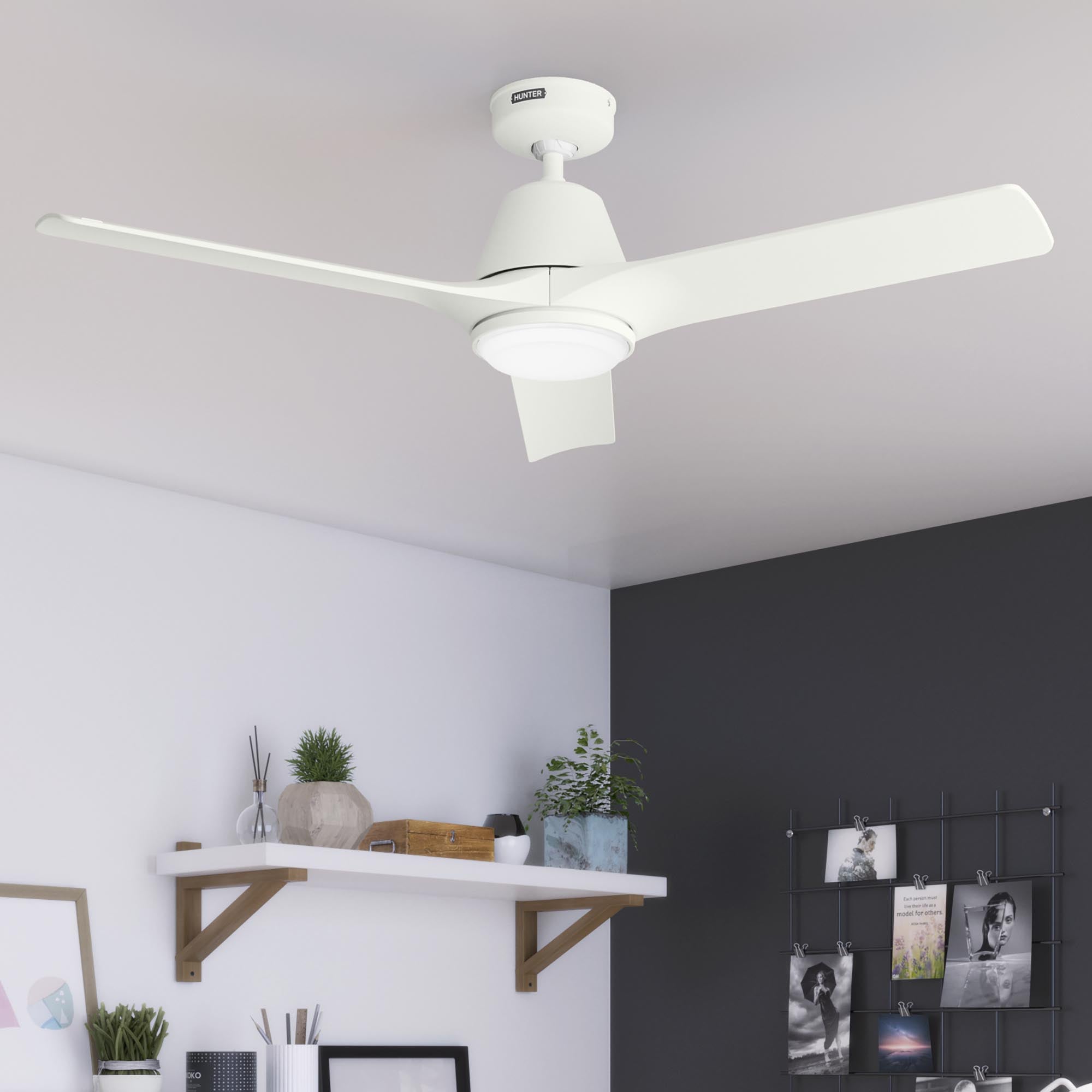 Aeronaut Outdoor Smart Fan with LED Light 52 inch with Remote
