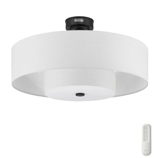 Brookside Jasmine Roth Indoor Fandelier with LED Light 30 inch with remote