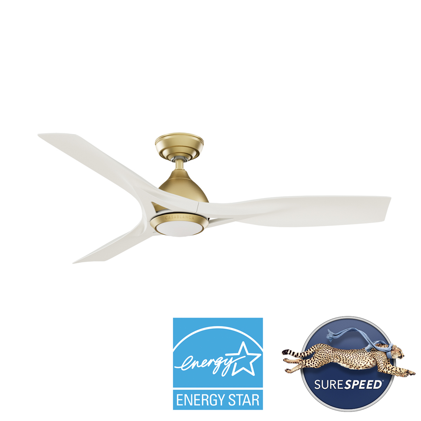 Elise Outdoor ENERGY STAR DC with LED Light 54 inch with remote and wall control