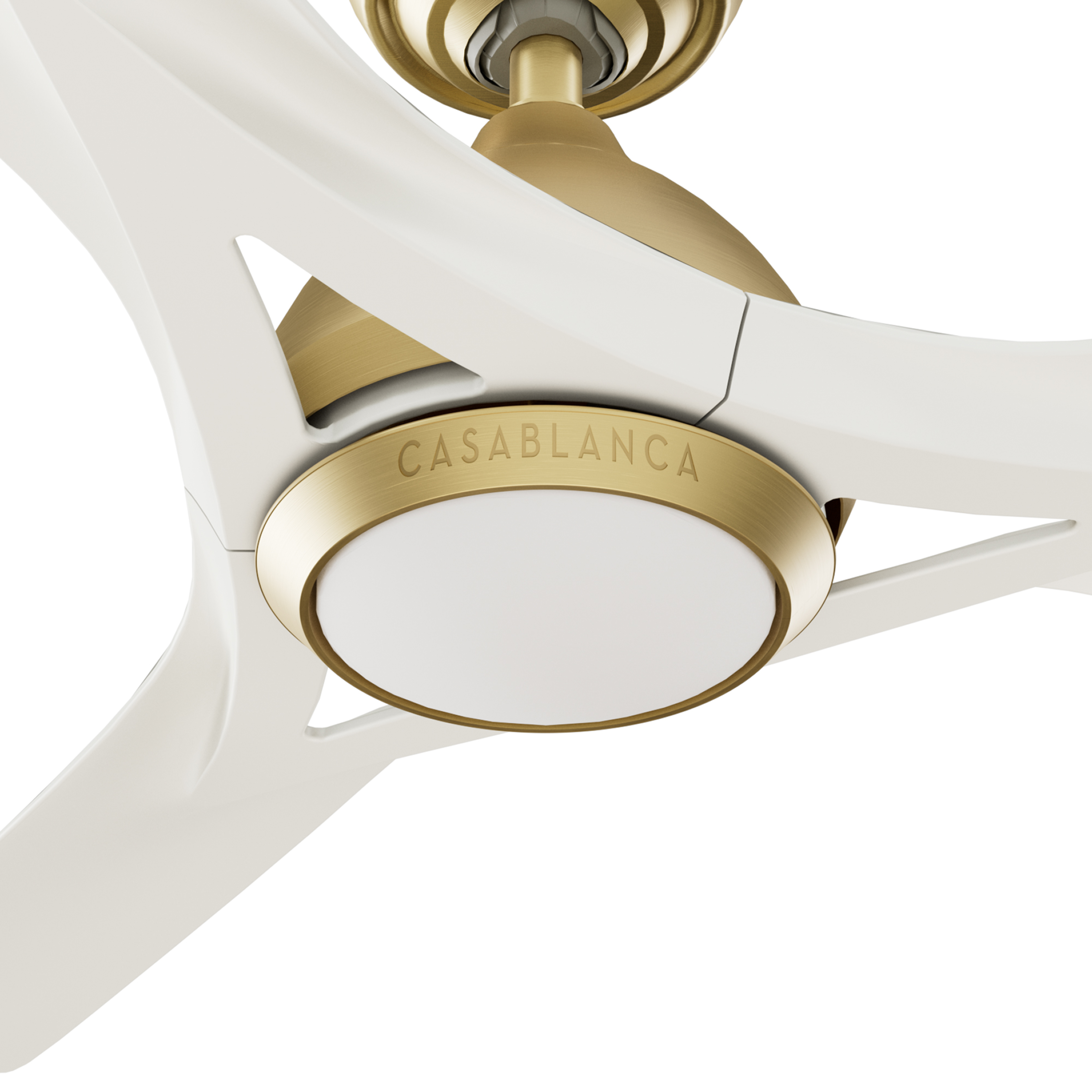 Elise Outdoor ENERGY STAR DC with LED Light 54 inch with remote and wall control