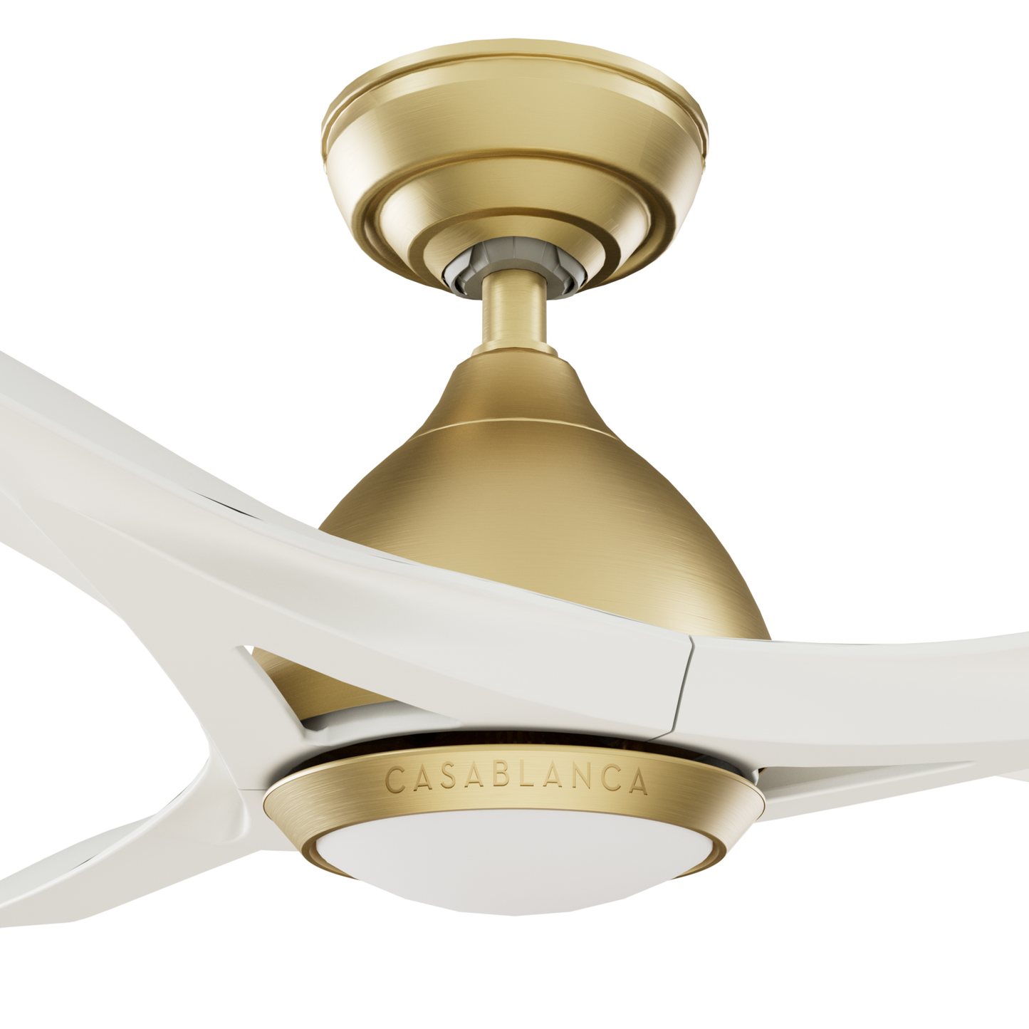 Elise Outdoor ENERGY STAR DC with LED Light 54 inch with remote and wall control