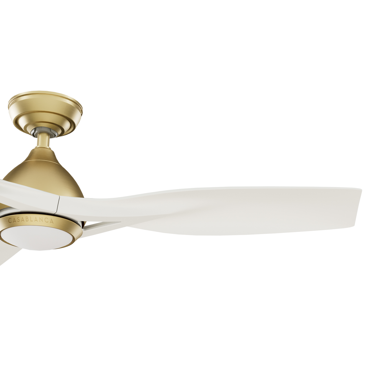 Elise Outdoor ENERGY STAR DC with LED Light 54 inch with remote and wall control