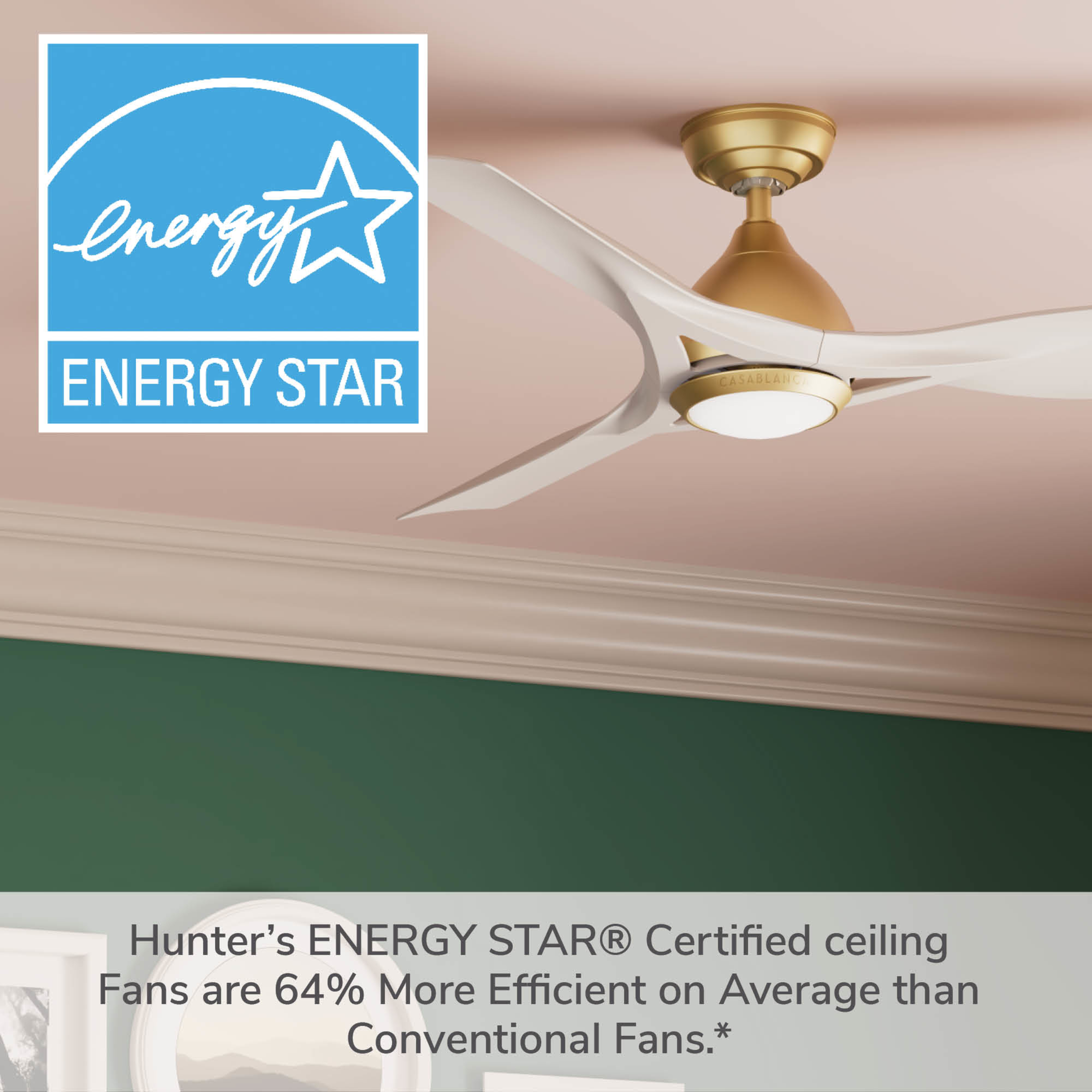 Elise Outdoor ENERGY STAR DC with LED Light 54 inch with remote and wall control