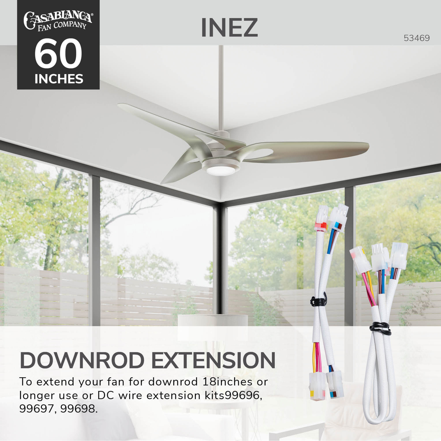 Inez Outdoor ENERGY STAR DC with LED Light 60 inch with remote and wall control