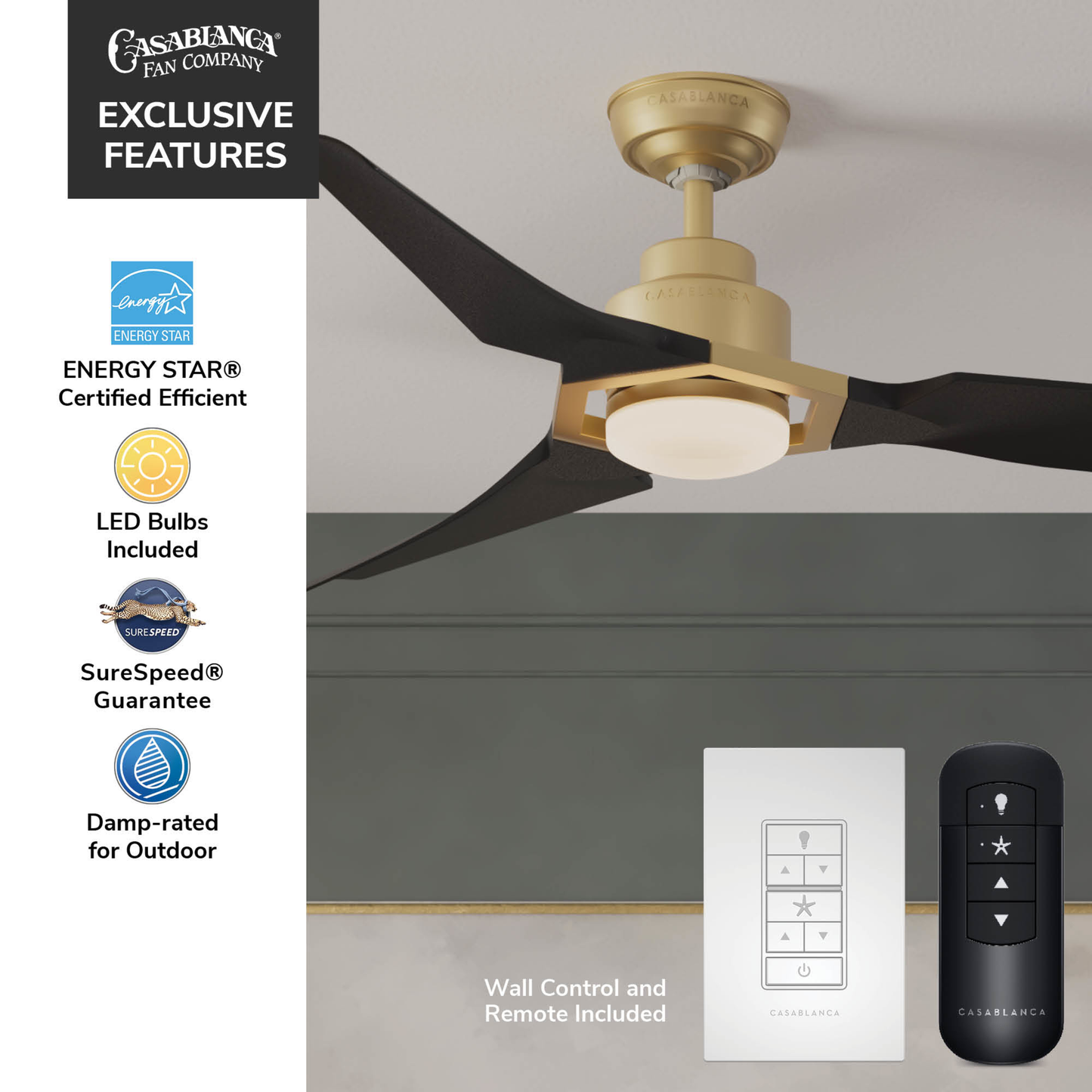 Eula Outdoor ENERGY STAR DC with LED Light 52 inch with remote and wall control