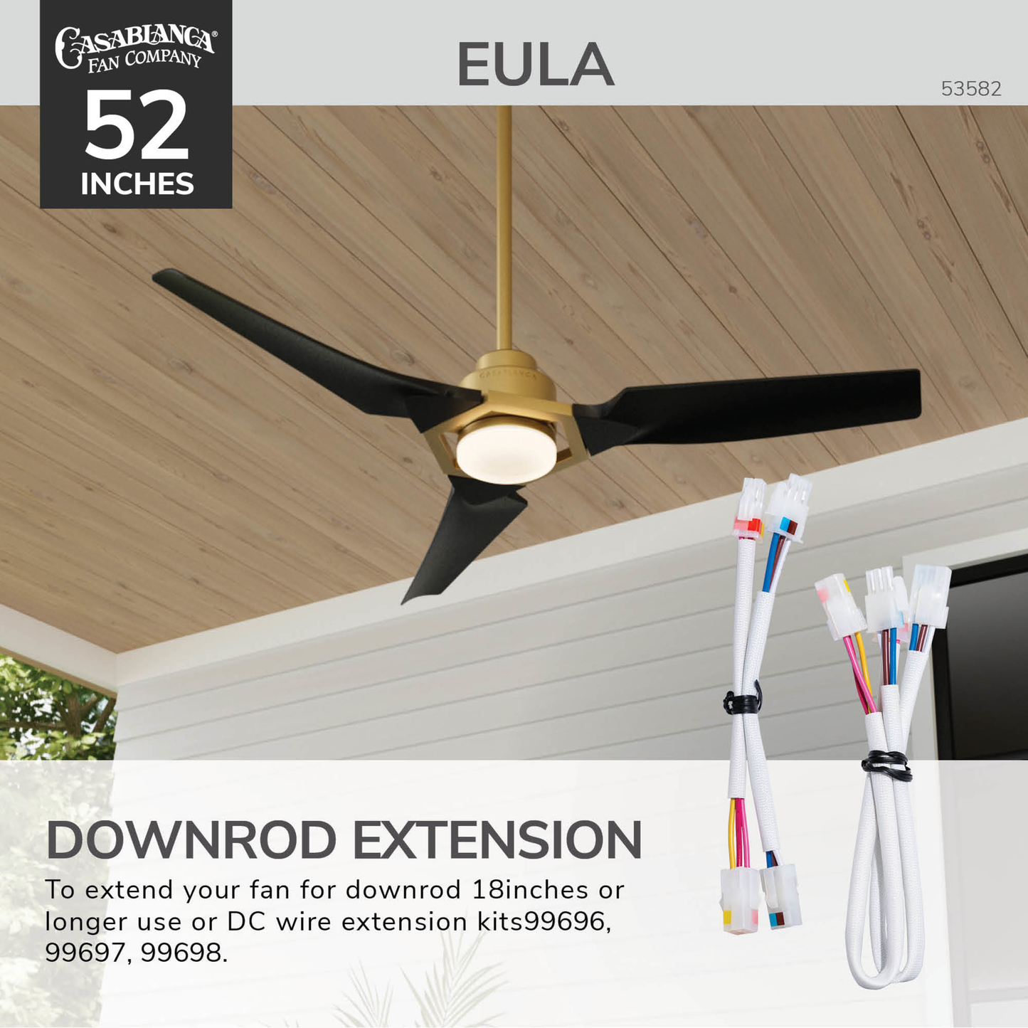 Eula Outdoor ENERGY STAR DC with LED Light 52 inch with remote and wall control