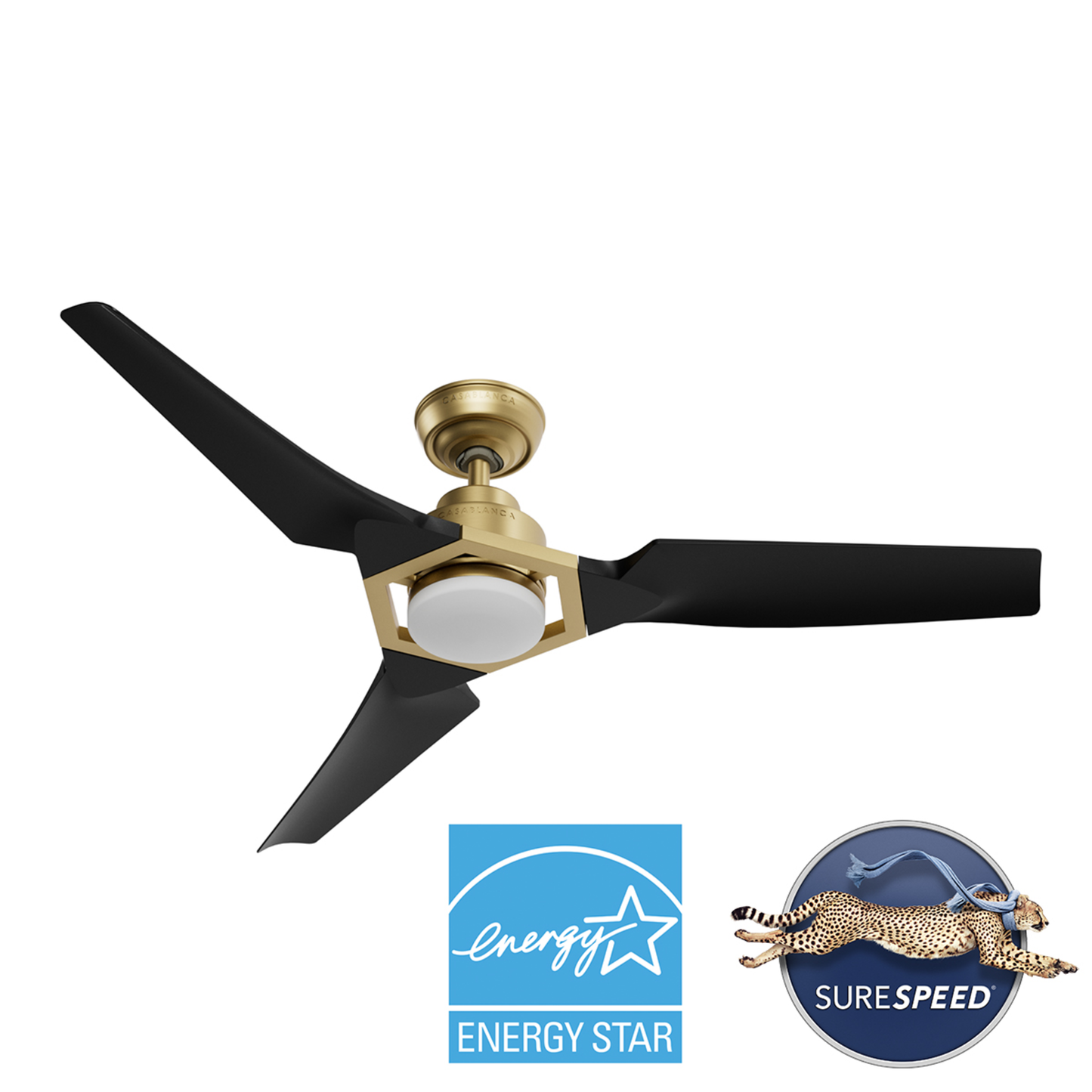 Eula Outdoor ENERGY STAR DC with LED Light 52 inch with remote and wall control