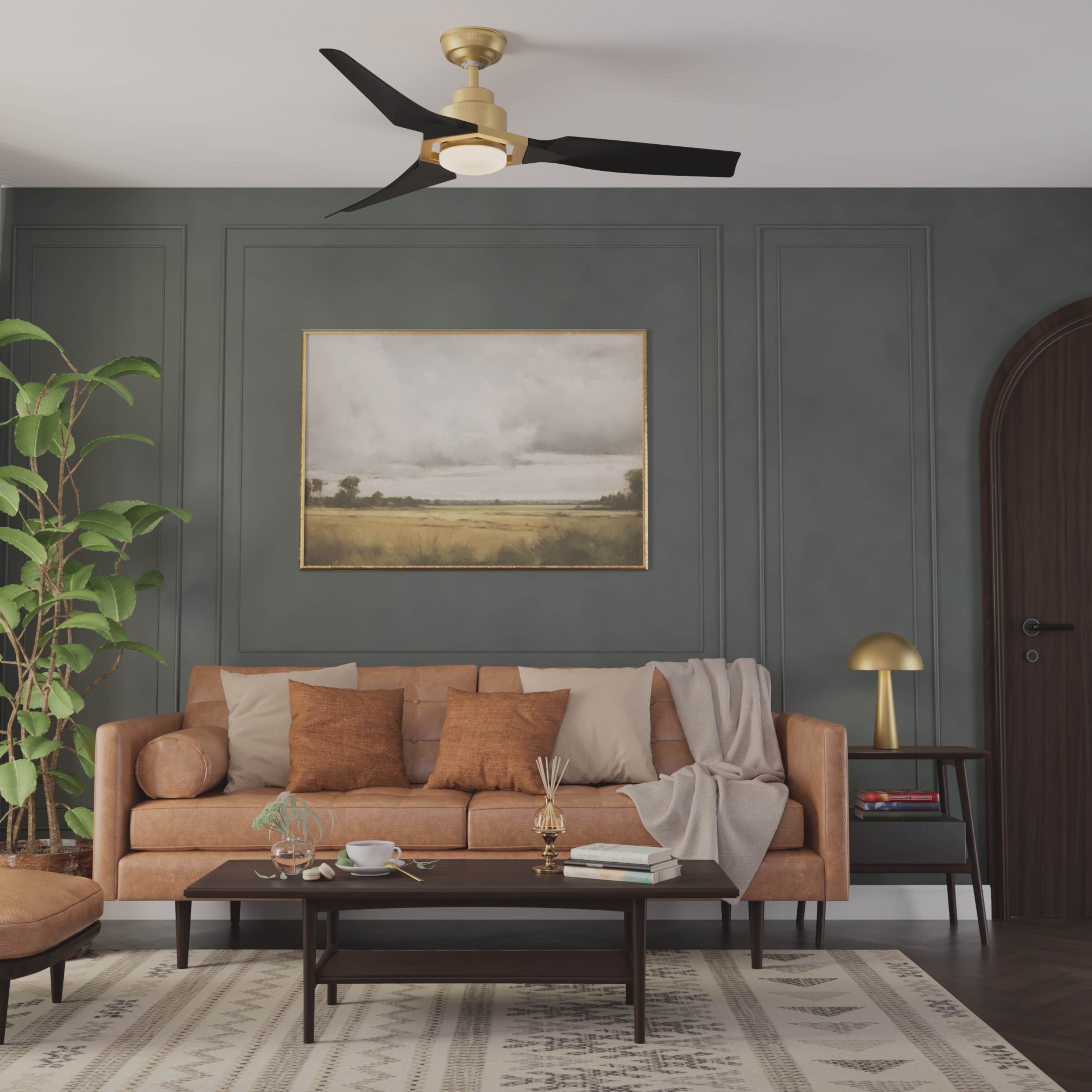 Eula Outdoor ENERGY STAR DC with LED Light 52 inch with remote and wall control
