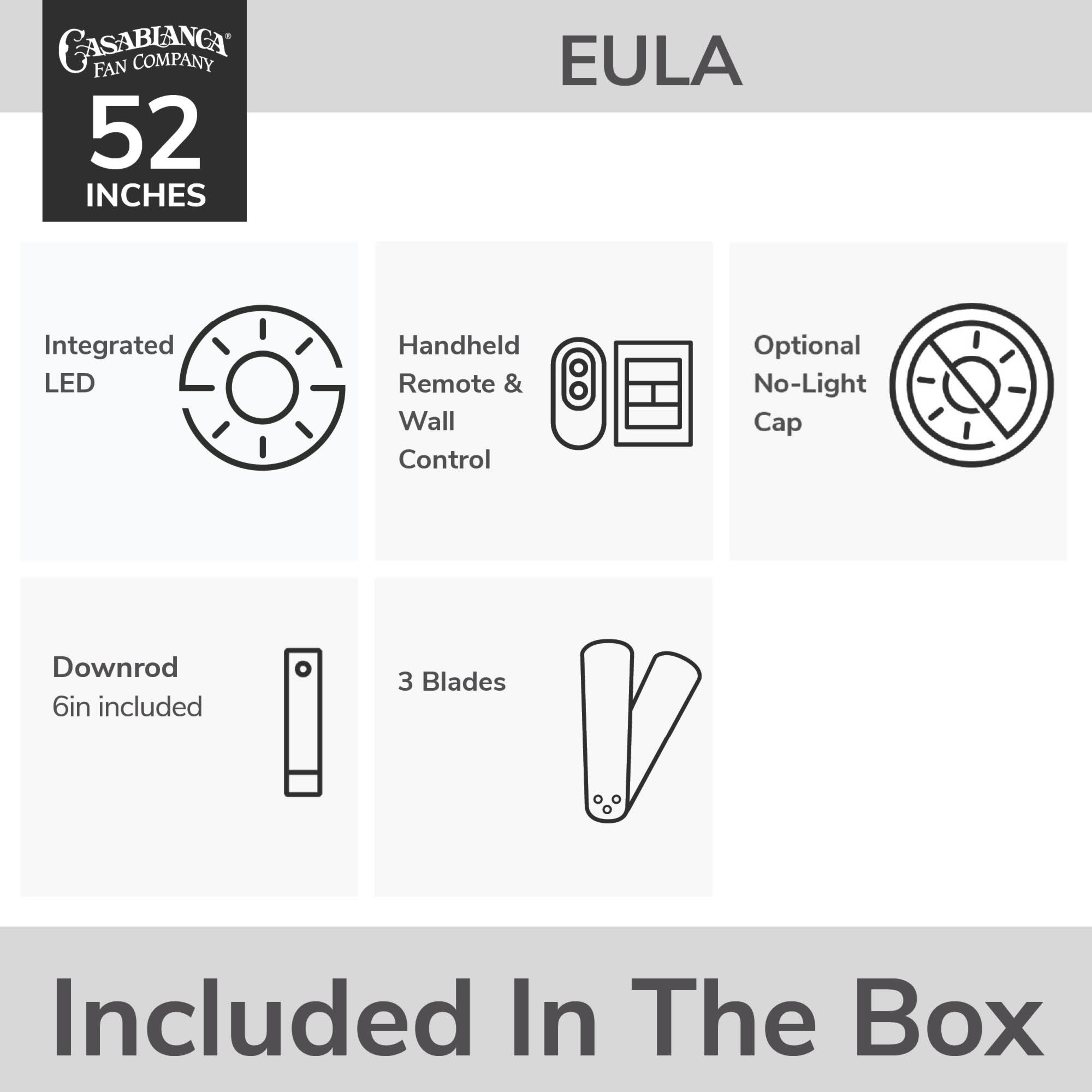 Eula Outdoor ENERGY STAR DC with LED Light 52 inch with remote and wall control