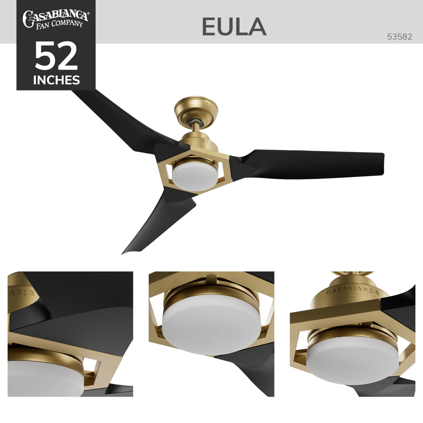 Eula Outdoor ENERGY STAR DC with LED Light 52 inch with remote and wall control