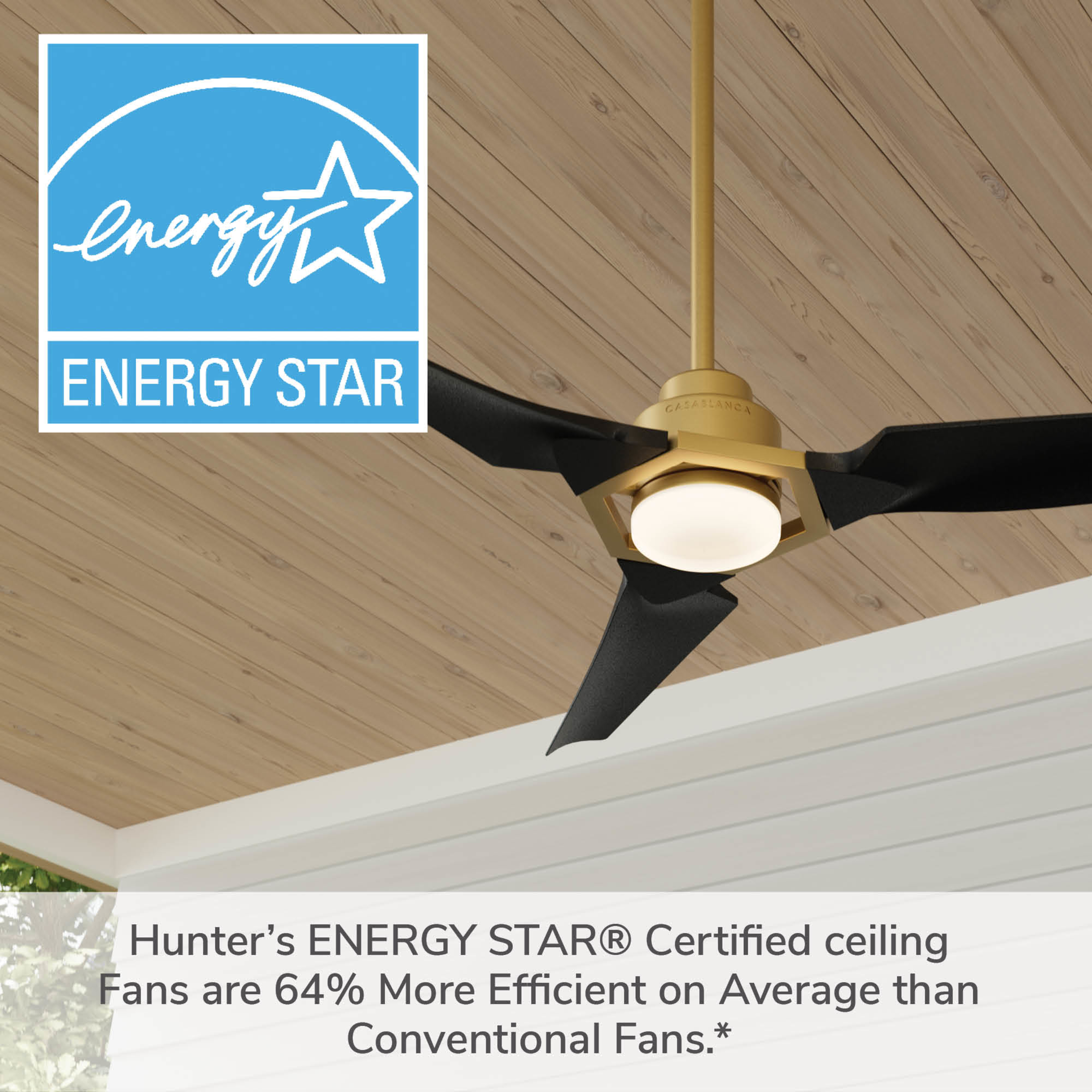 Eula Outdoor ENERGY STAR DC with LED Light 52 inch with remote and wall control