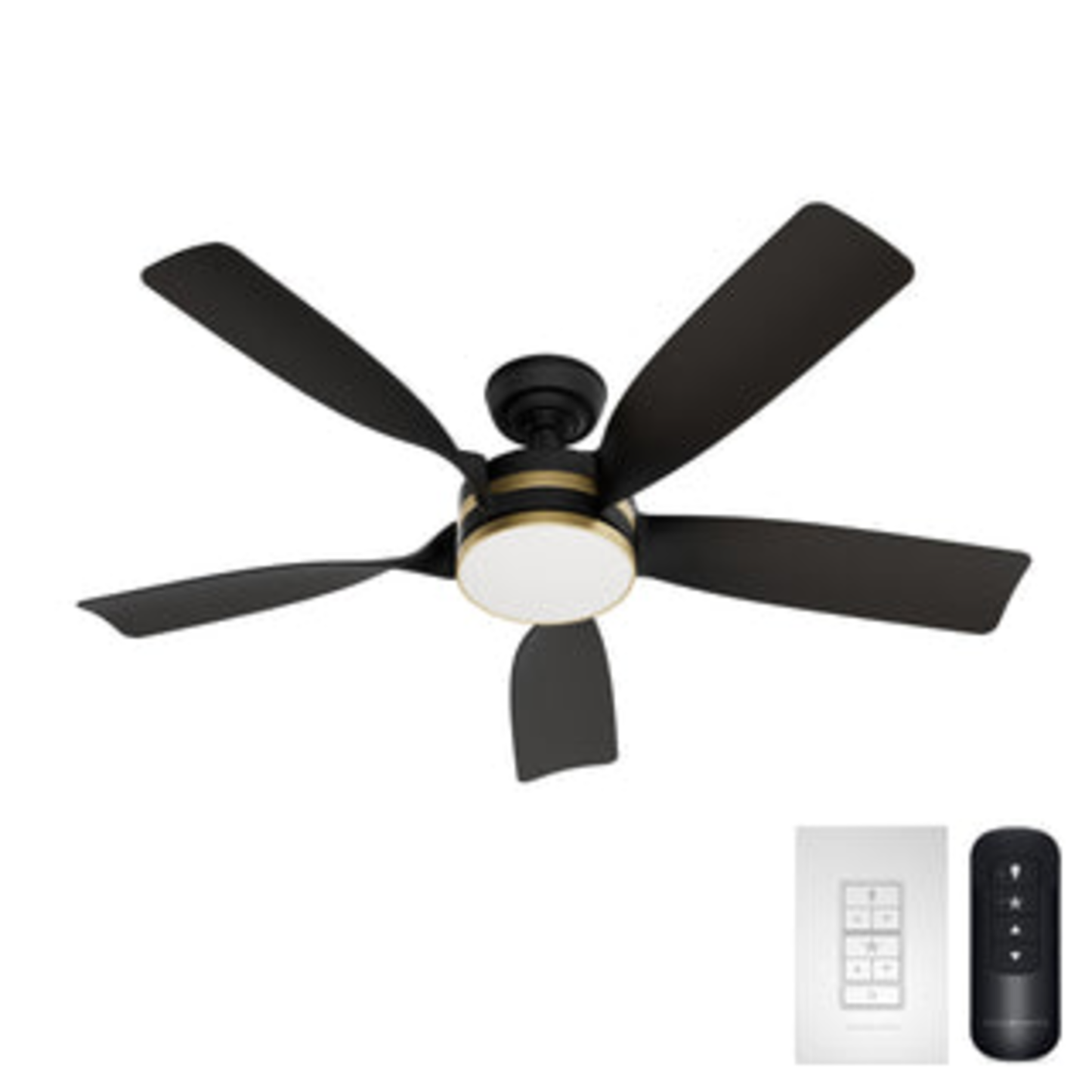 Julia Outdoor Energy Star DC with LED Light 54 inch with remote and wall control
